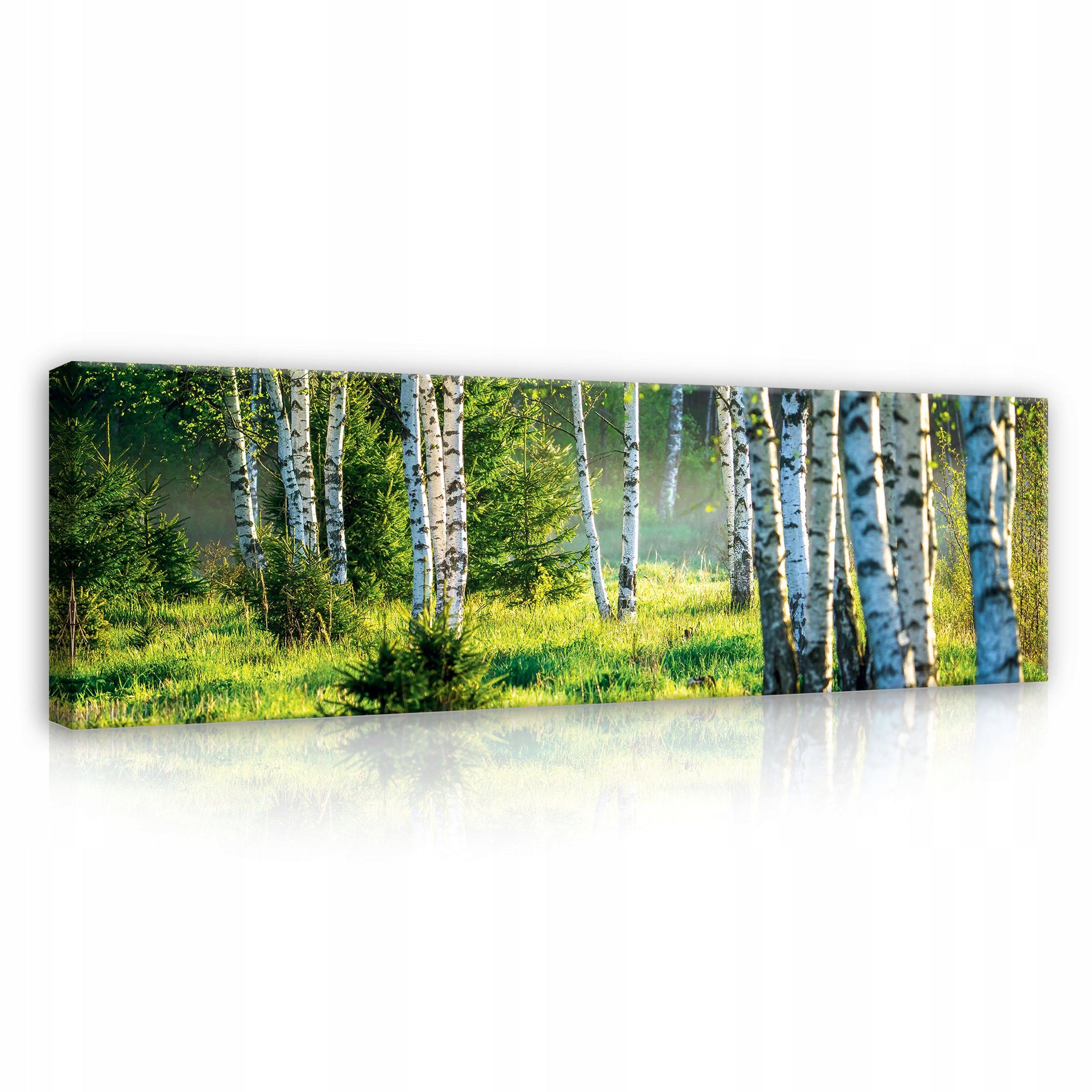 Wallarena Leinwandbild Grün Wald Birkenwald Landschaft Natur Wandbilder 145x45 cm Groß XXL, Wald (Einteilig, 1 St), Leinwand Изображения Wohnzimmer Schlafzimmer Küche Wandbild Leinwandbilder