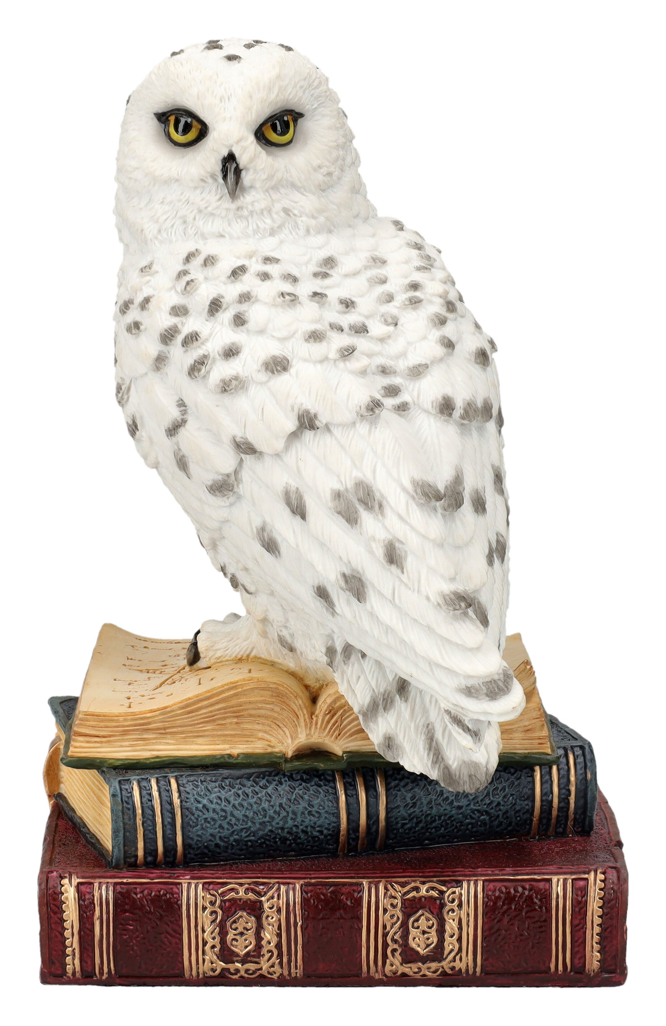 Figuren Shop GmbH Tierfigur Schneeeule Figur – Eule auf Zauberbüchern Fanta günstig online kaufen