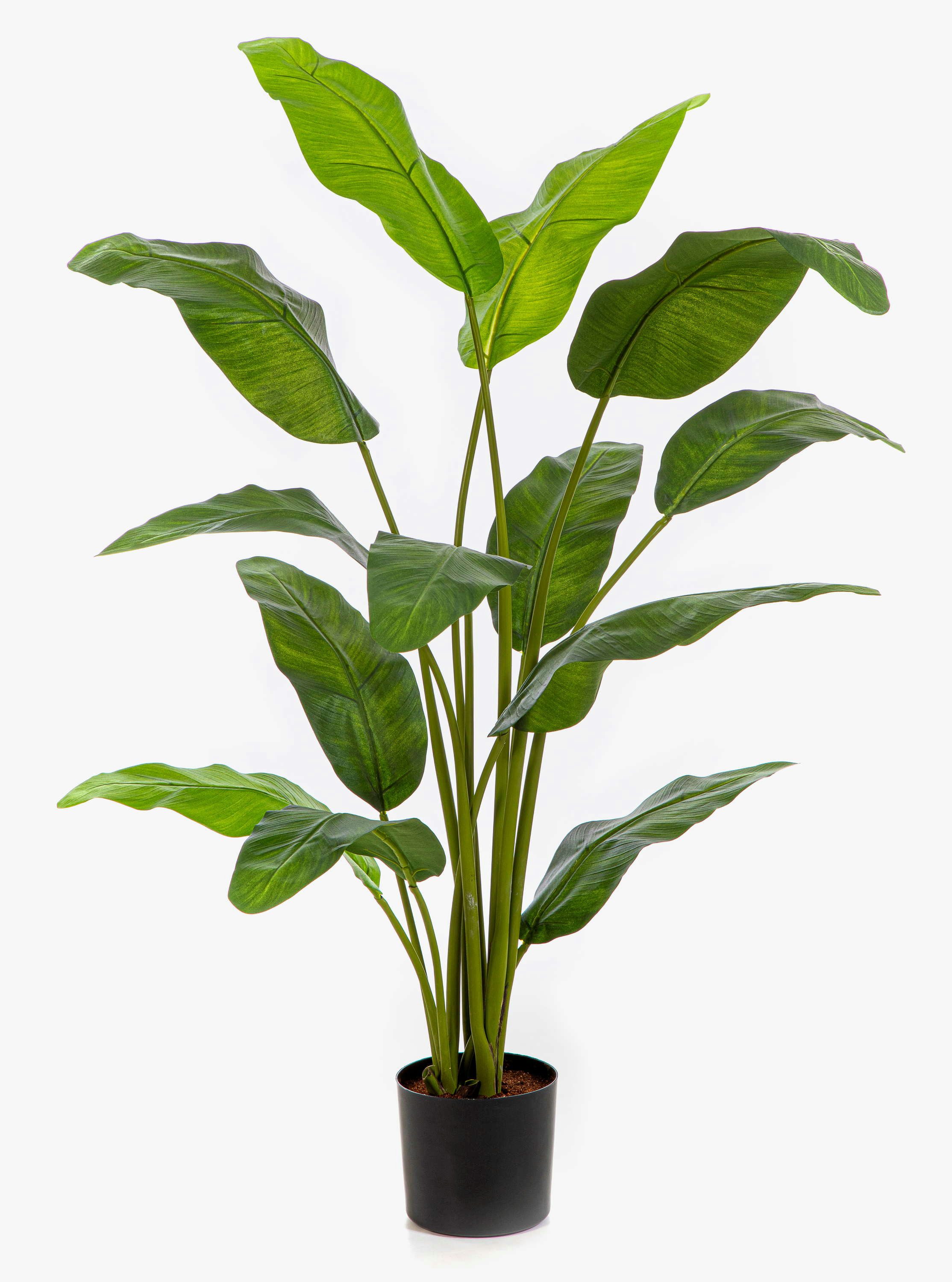 Künstliche Zimmerpflanze Künstlicher Baum der Reisenden COSINO, 120cm Baum der Reisenden, artplants, Höhe 120.0 cm