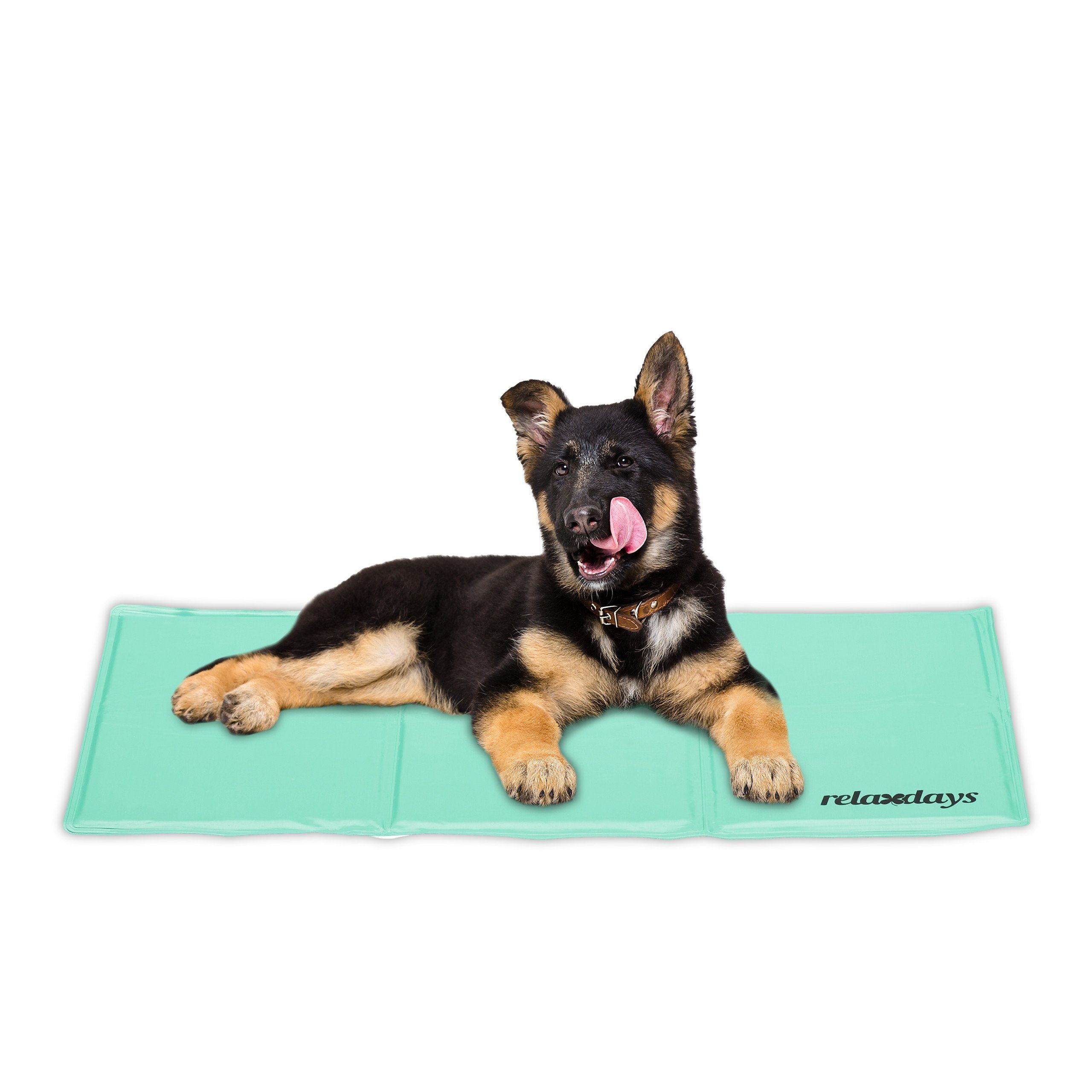 relaxdays Hundematte Türkise Kühlmatte für Hunde, günstig online kaufen