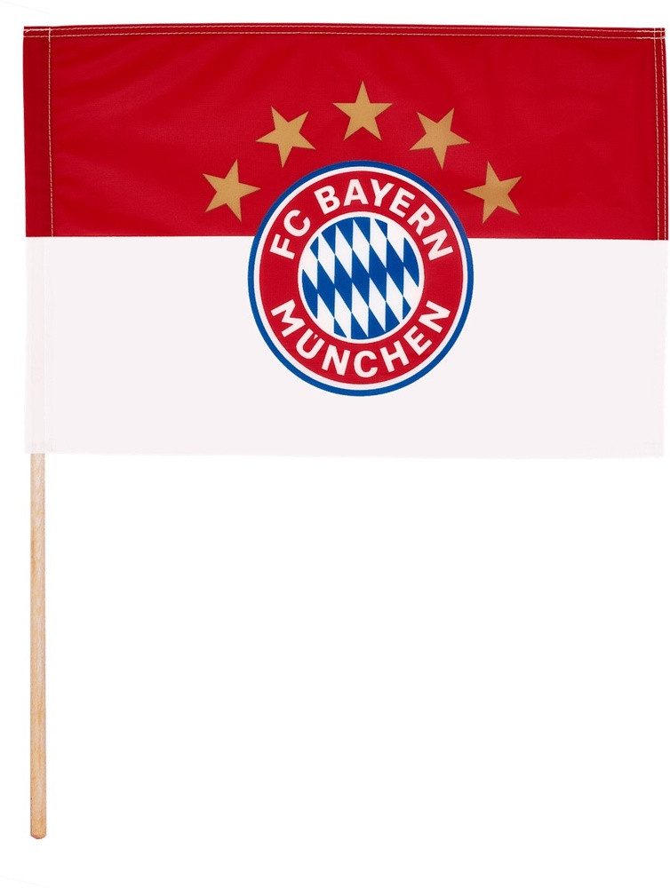 Fahne Fahne Logo (mit Stock)