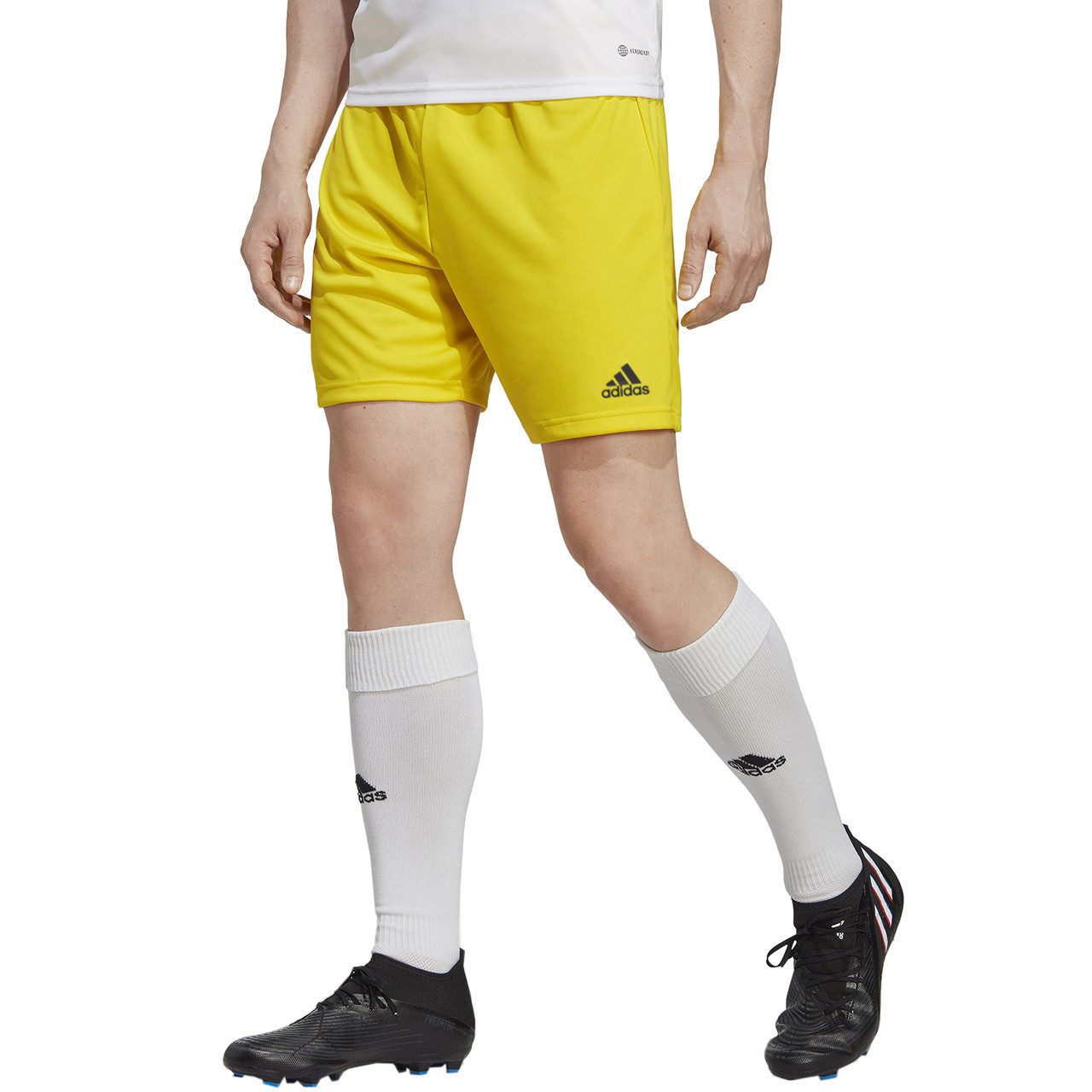 adidas Performance Trainingsshorts Entrada 22