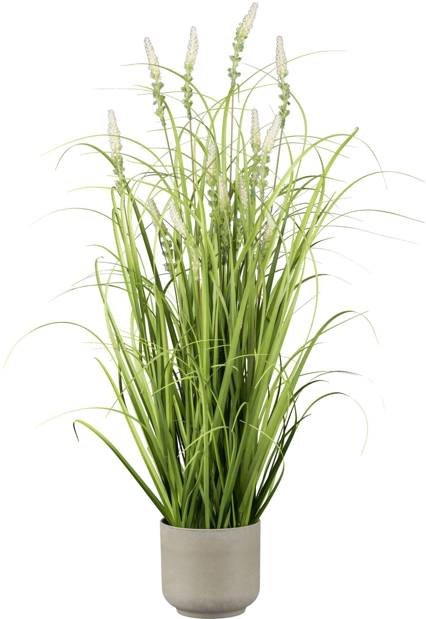 Kunstgras Grasbusch mit Salvienblüten, Creativ green, Höhe 75 cm, mit detai günstig online kaufen