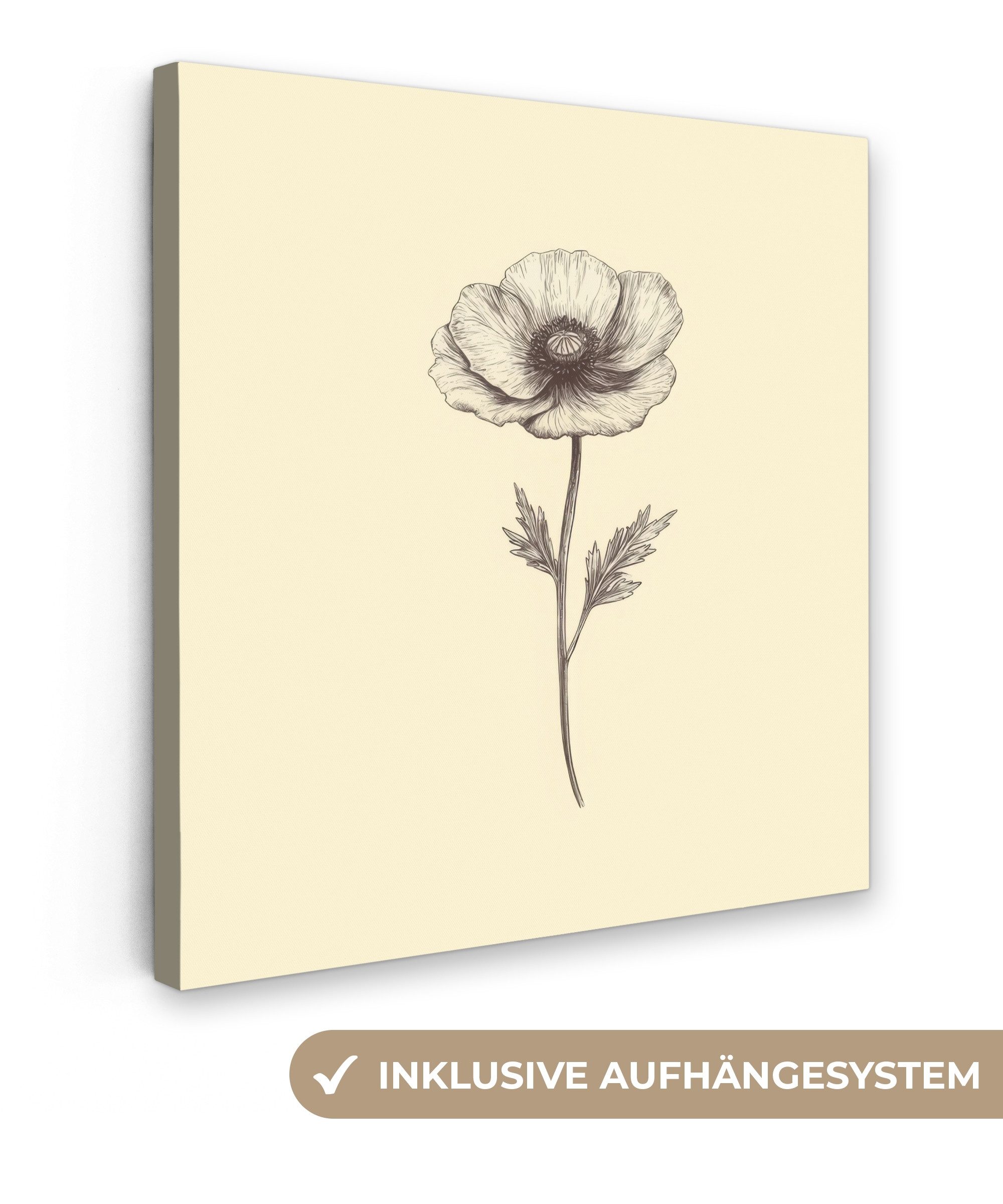 Leinwandbild Mohn - Illustration - Schwarz