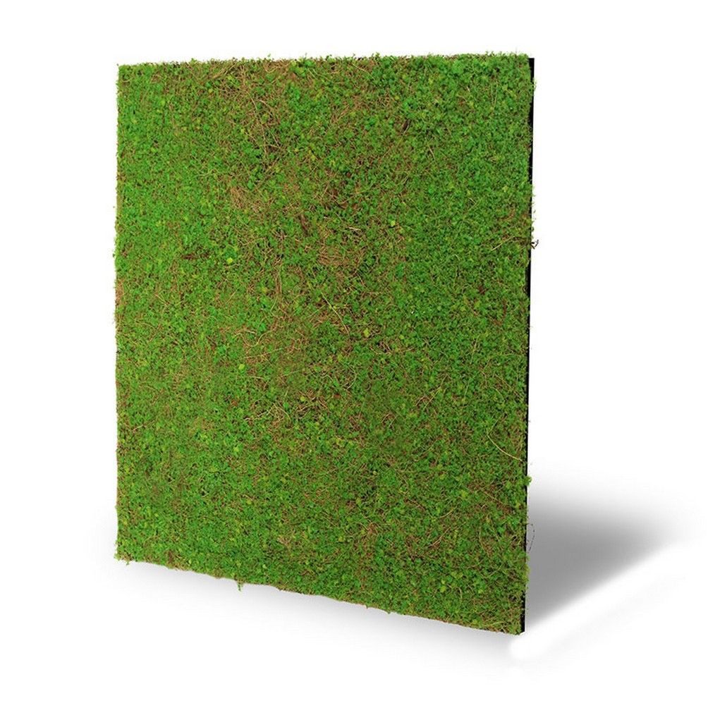 JANGAL Wandpaneel Wandpaneel Jangal Modular Wall 11106 Light Green Coconut 52 x 52 cm