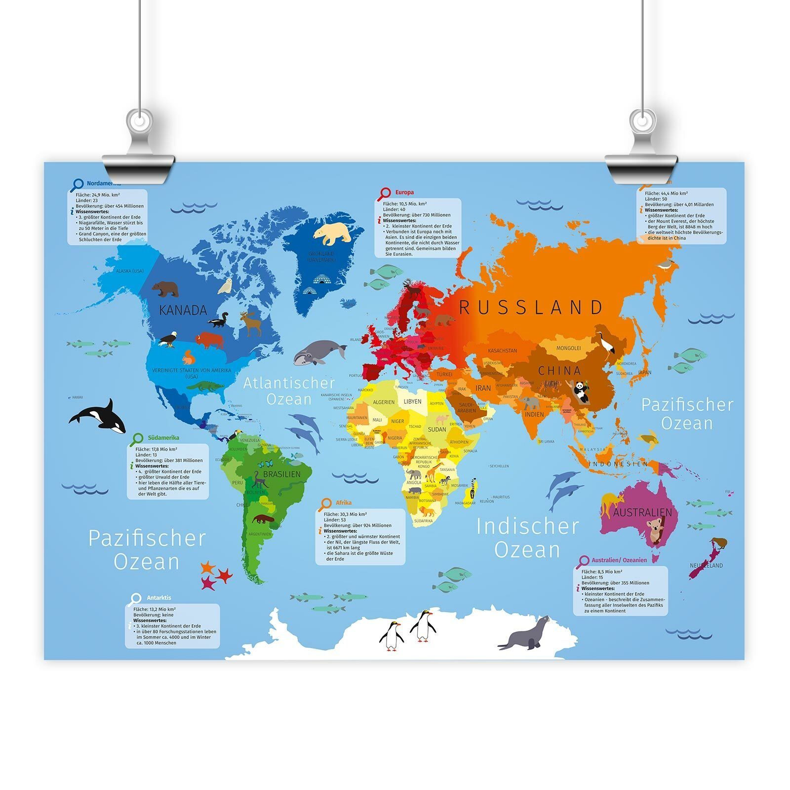nikima Poster 3 Kinder Größen Weltkarte, in Weltkarte