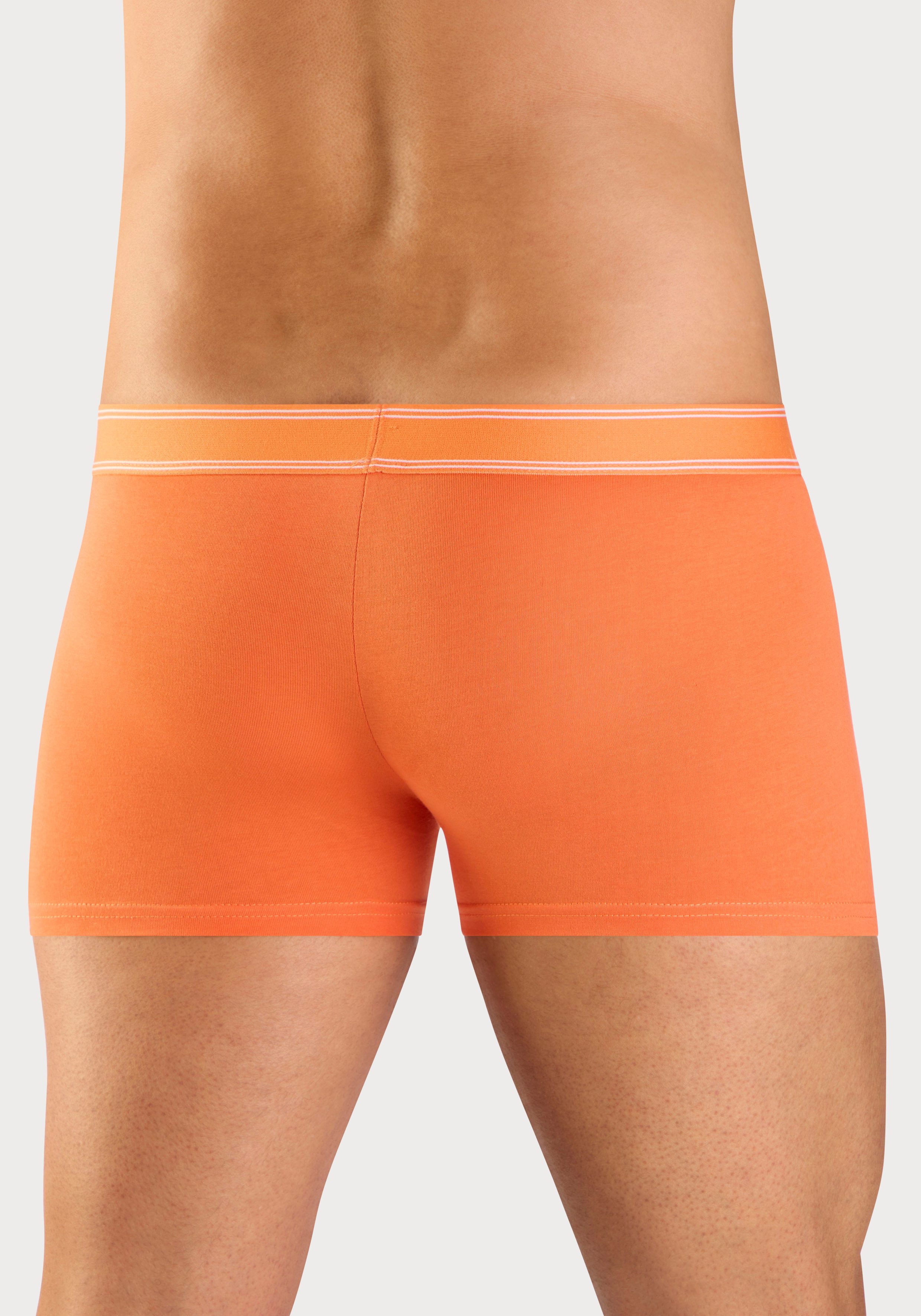 Bruno Banani Boxer Boxershorts für Herren (Packung, 5-St) mit schmalen Streifen und Logoschriftzug im Bund