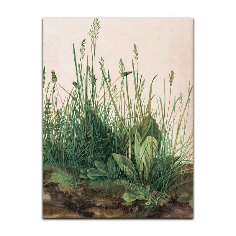 Bilderdepot24 Leinwandbild Alte Meister - Albrecht Dürer - Das große Rasenstück, Pflanzen