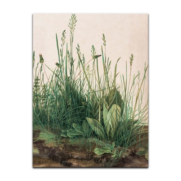 Bilderdepot24 Leinwandbild Alte Meister - Albrecht Dürer - Das große Rasenstück Pflanzen