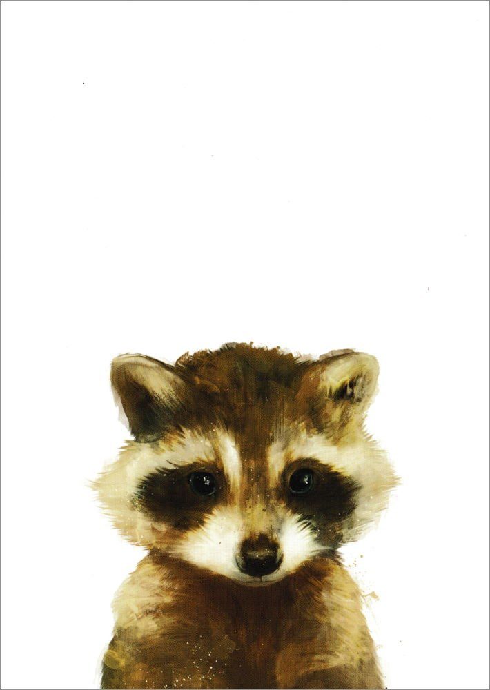 - Kleiner Waschbär" Postkarte Raccoon "Little