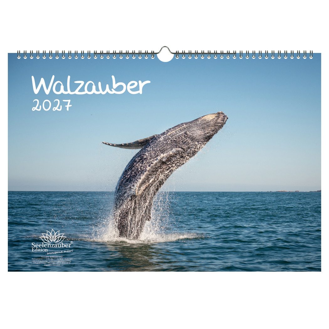 Seelenzauber Wandkalender Walzauber DIN A3 Kalender für 2027 Wal - Seelenzauber
