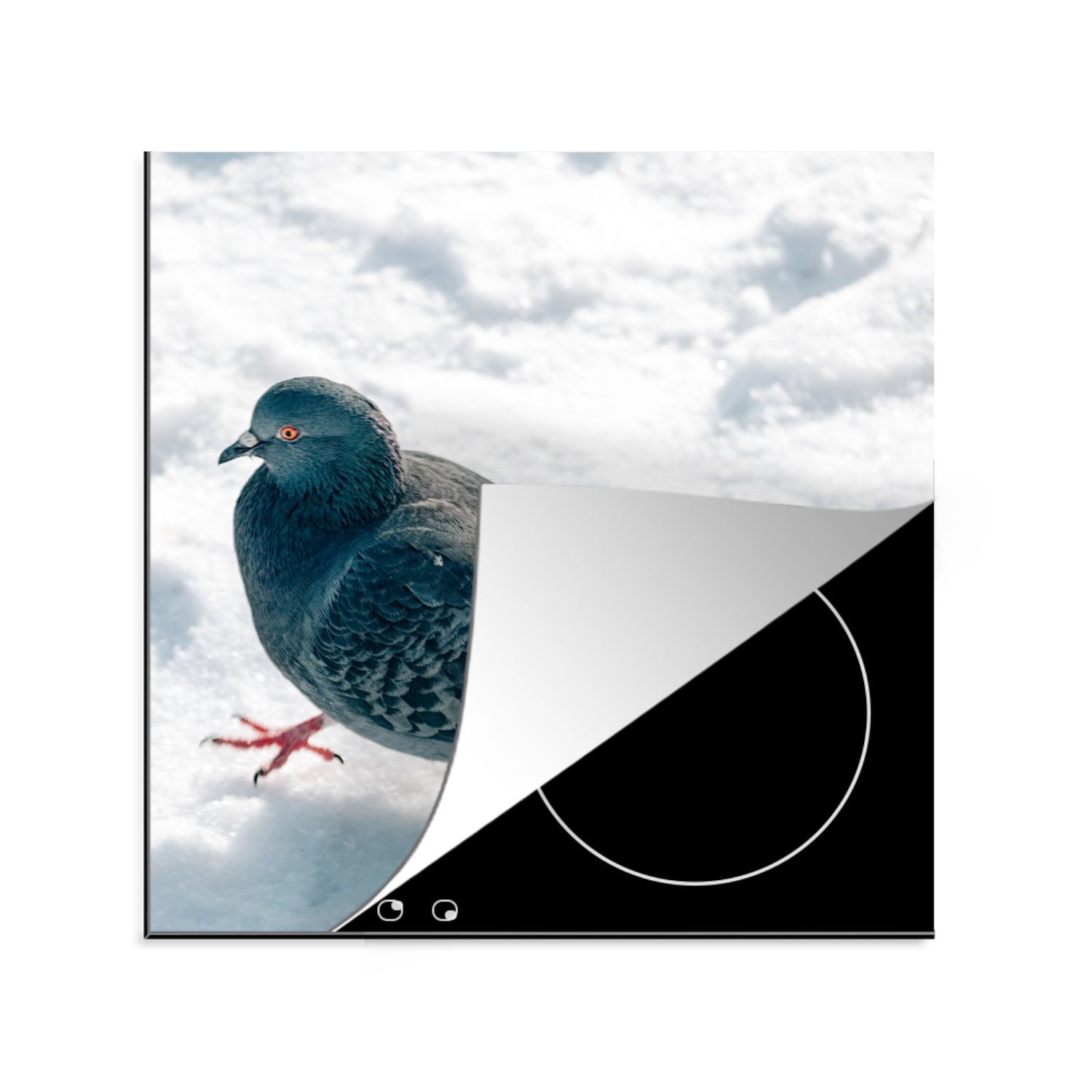 MuchoWow Herdblende-/Abdeckplatte Taube - Schnee - Vogel, Vinyl, (1 tlg), 78x78 cm, Ceranfeldabdeckung, Arbeitsplatte für küche