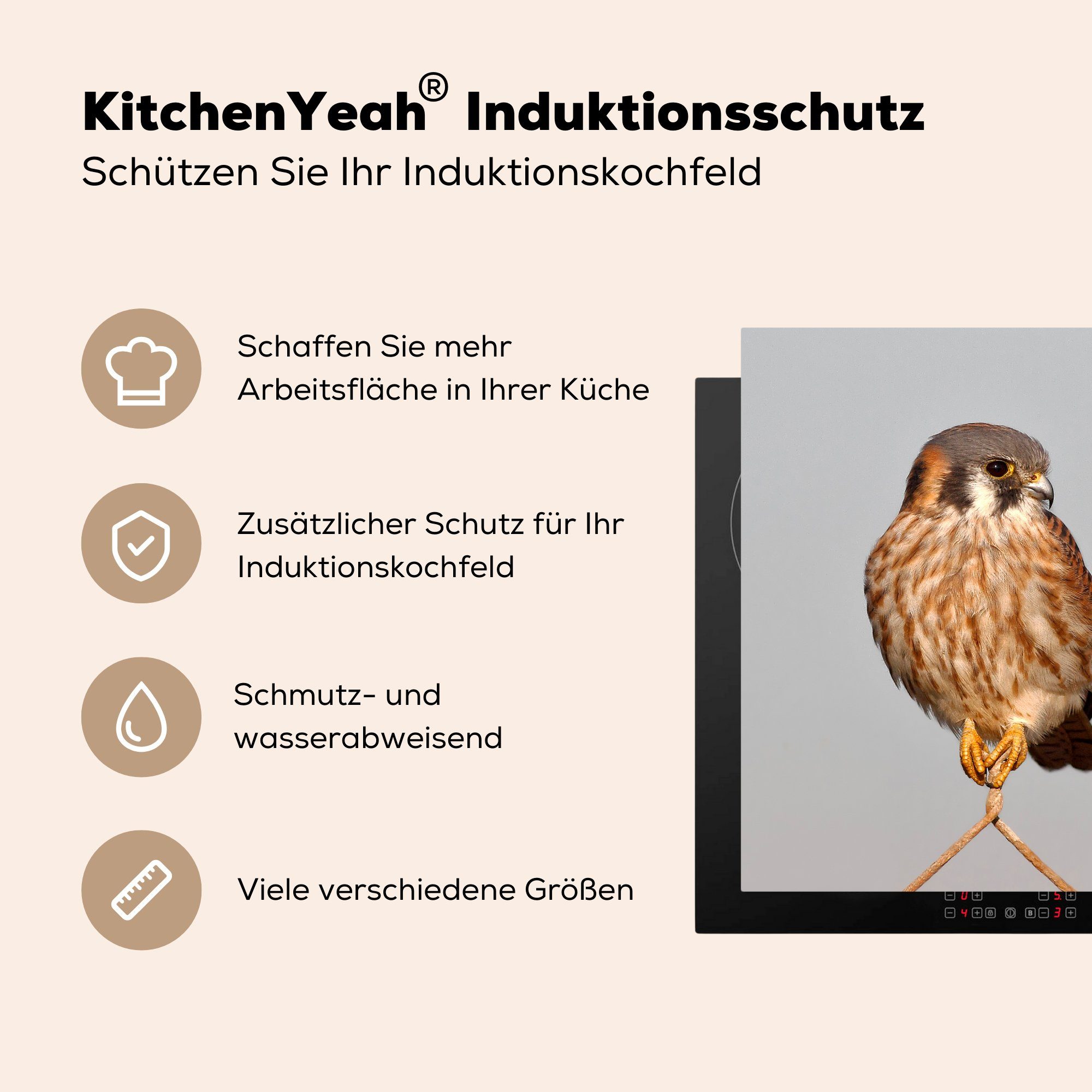 - tlg), für Herdblende-/Abdeckplatte - Ceranfeldabdeckung, (1 Zweig Arbeitsplatte küche Vogel cm, Grau, Vinyl, 78x78 MuchoWow