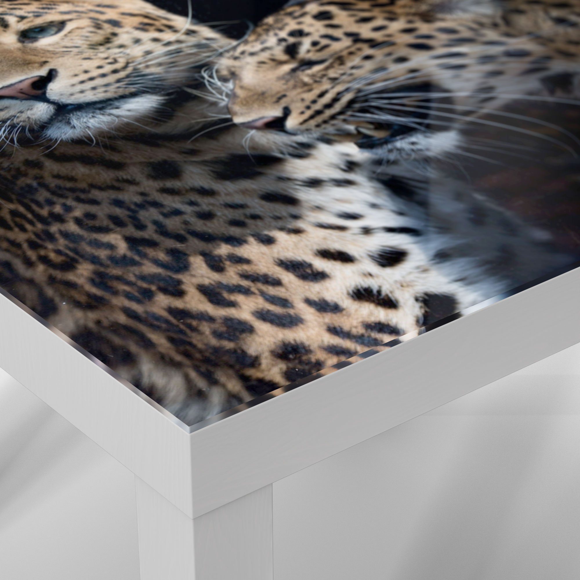 DEQORI Couchtisch 'Seltenes Leopardenpaar', Weiß Glastisch Glas Beistelltisch modern