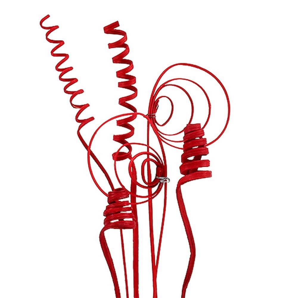 Trockenblume Cane Sortiment mini rot 75 St – Deko Zweige Weihnachtsschmuck, Viana, Höhe 9 cm