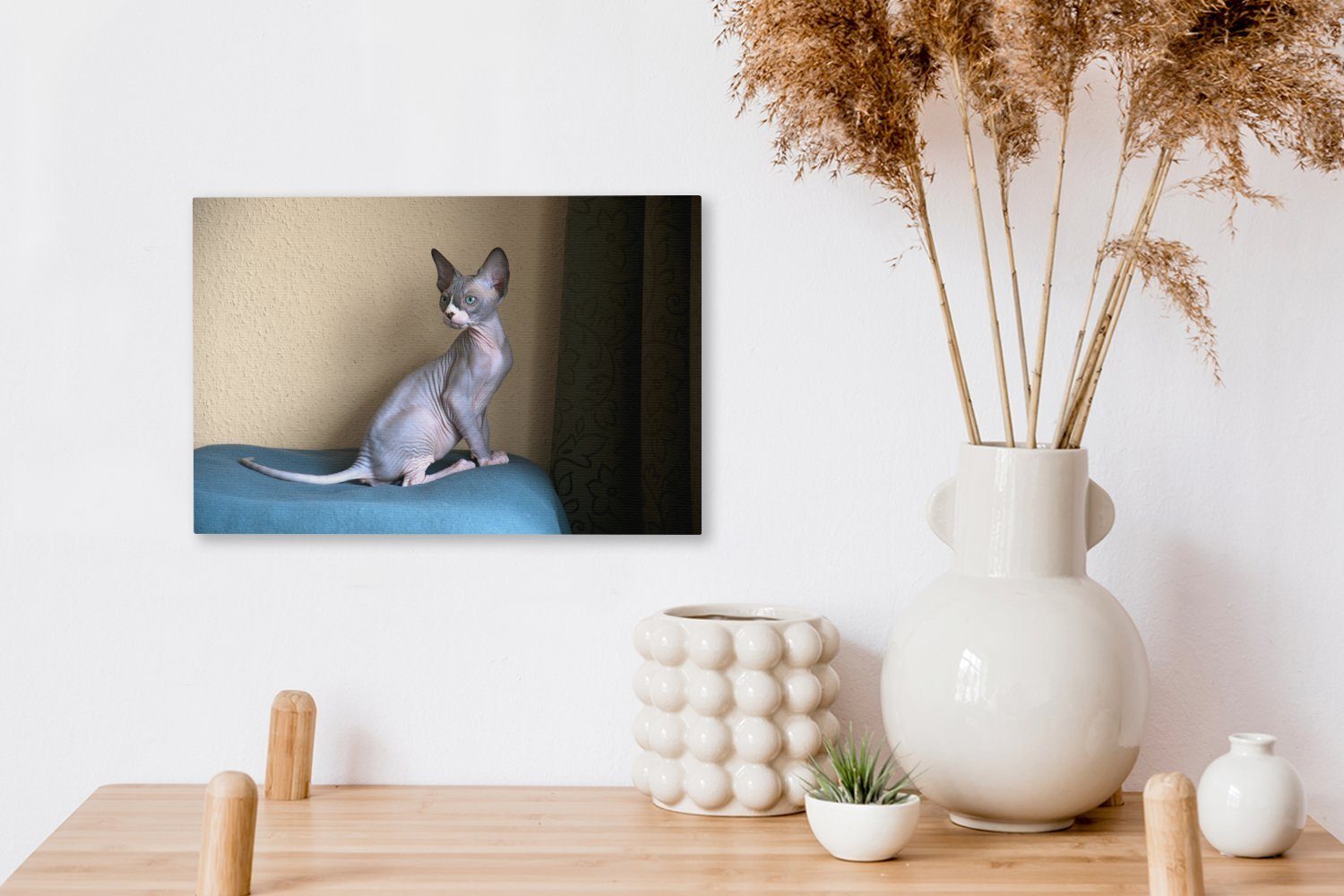 Wanddeko, 30x20 Ein St), Wandbild sitzendes Leinwandbilder, Leinwandbild Aufhängefertig, cm OneMillionCanvasses® (1 Sphynx-Kätzchen,