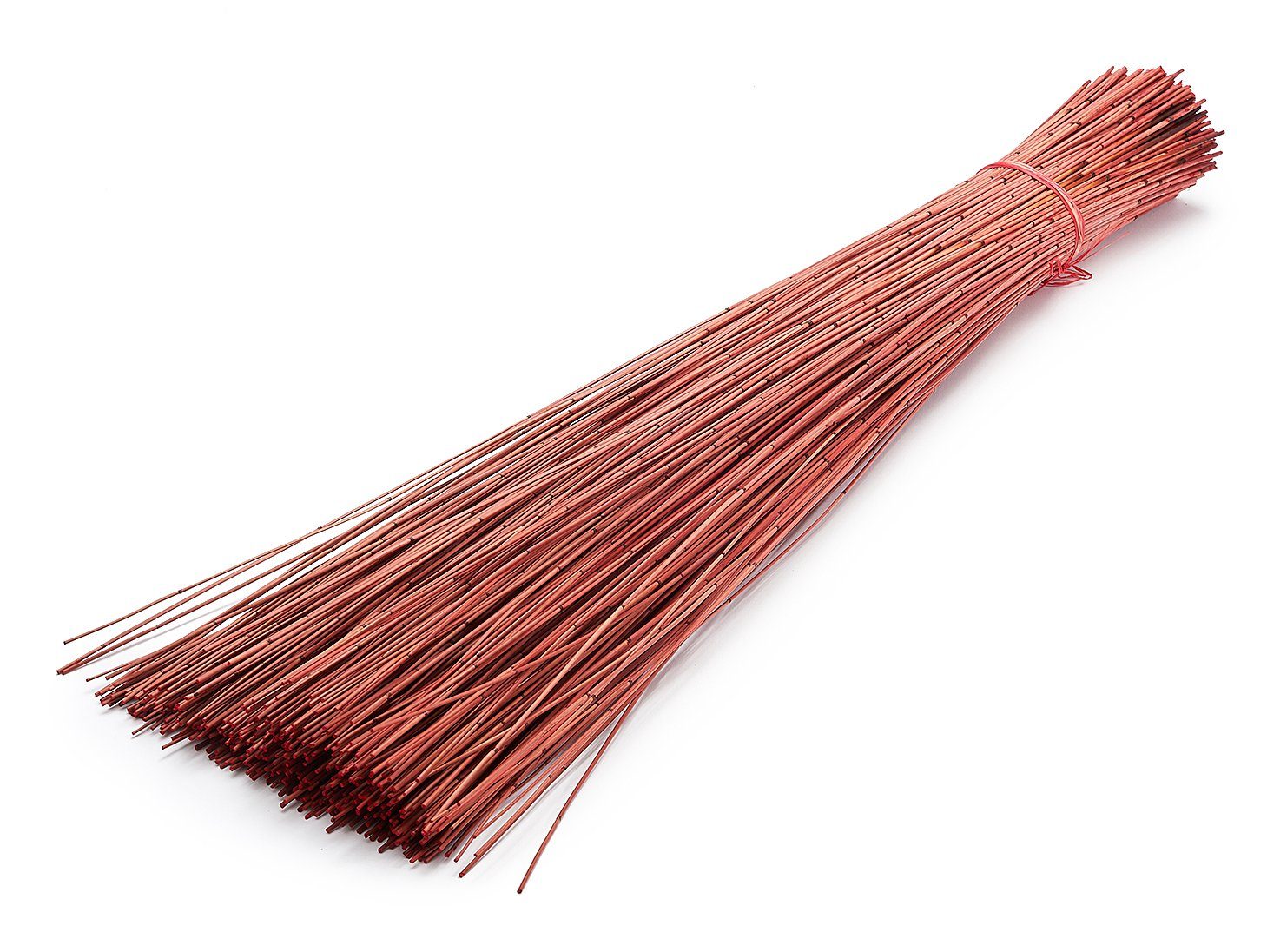 Trockenblume Vleireed Rot 75cm 1kg Restio günstig online kaufen