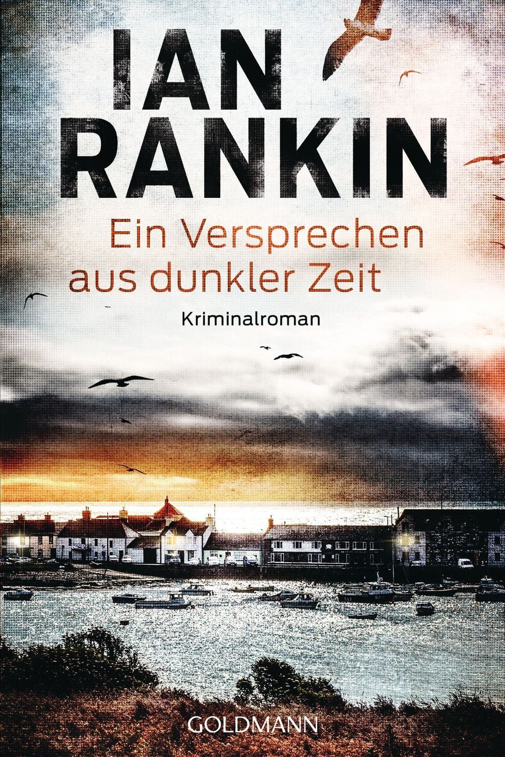 Ein Versprechen aus dunkler Zeit / Ian Rankin