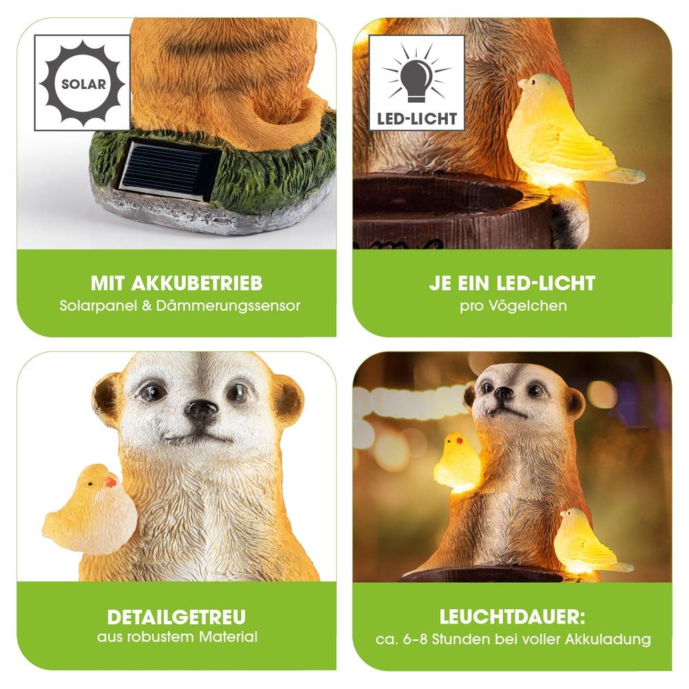 EASYmaxx LED Solarleuchte Erdmännchen als Vogeltränke, Erdmännchen Vogeltränke, Kabellos mit automatischem Tageslichtsensor