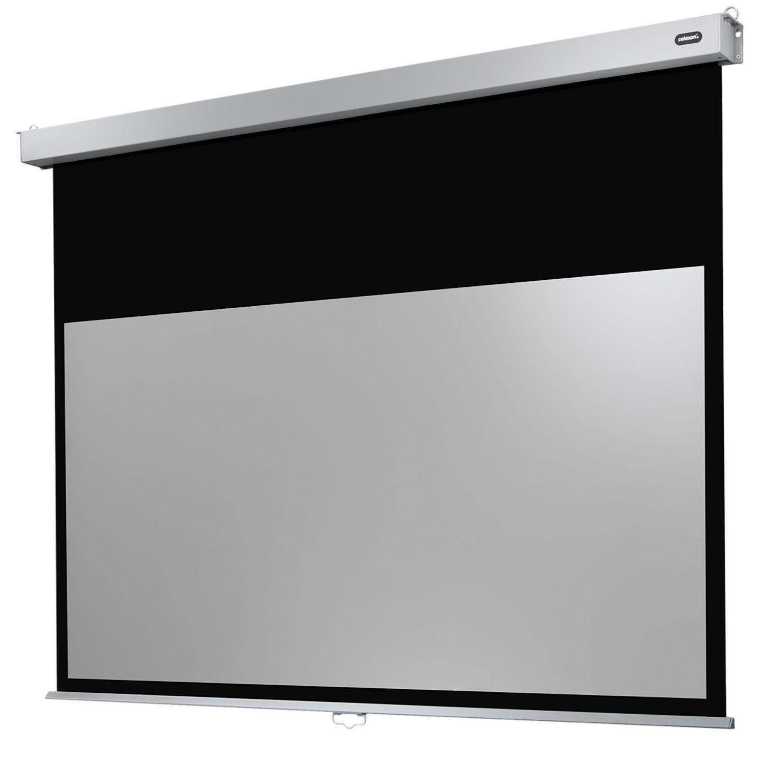 Celexon Professional Plus Rolloleinwand (schwarze Rückseite)