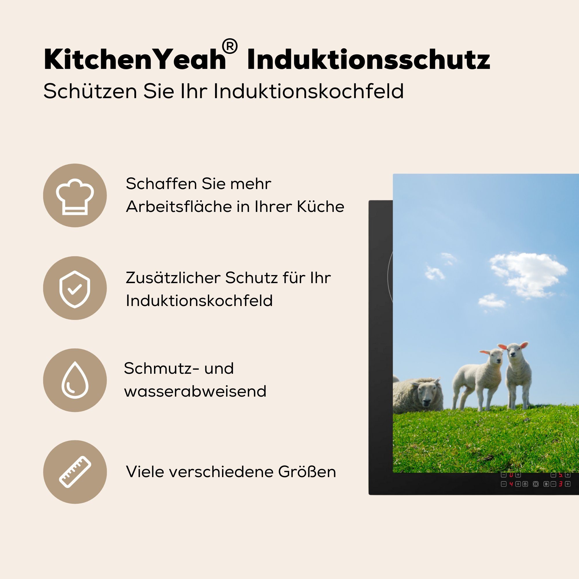 Herdblende-/Abdeckplatte 81x52 (1 Ceranfeldabdeckung Schutz Induktionskochfeld küche, Vinyl, Frühling Schafe für die Landschaft, - cm, - tlg), MuchoWow