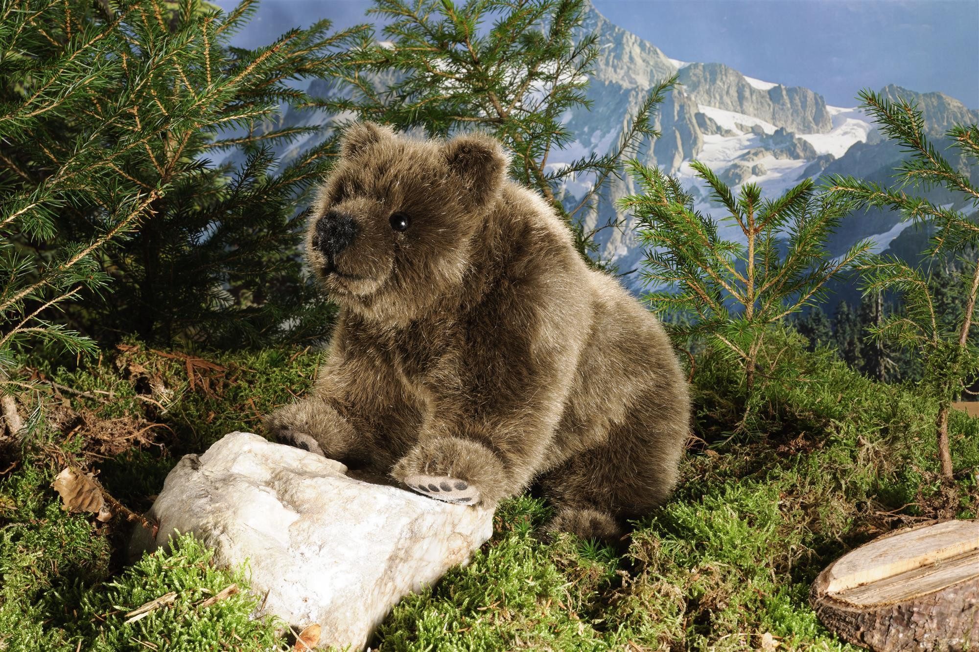 Kösen Kuscheltier Kösen Bär auf vier Pfoten 32 cm Stofftier