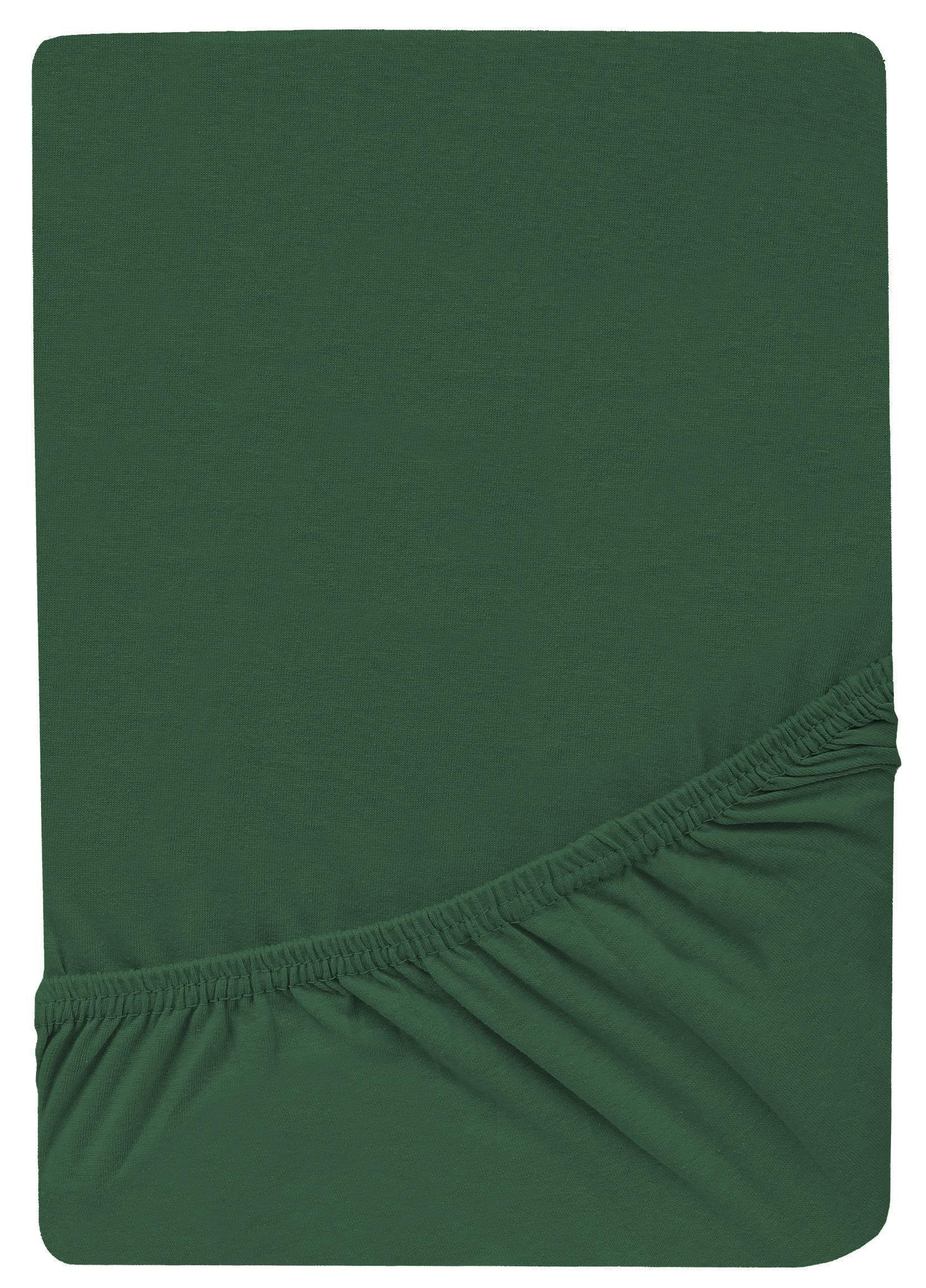 GREEN MARK Textilien Spannbettlaken Jersey Spannbetttuch in vielen Größen und Farben, 100% Baumwolle, Gummizug: rundum, (1 Stück), Jersey Spannbettlaken, Spannbetttuch in vielen Größen und Farben
