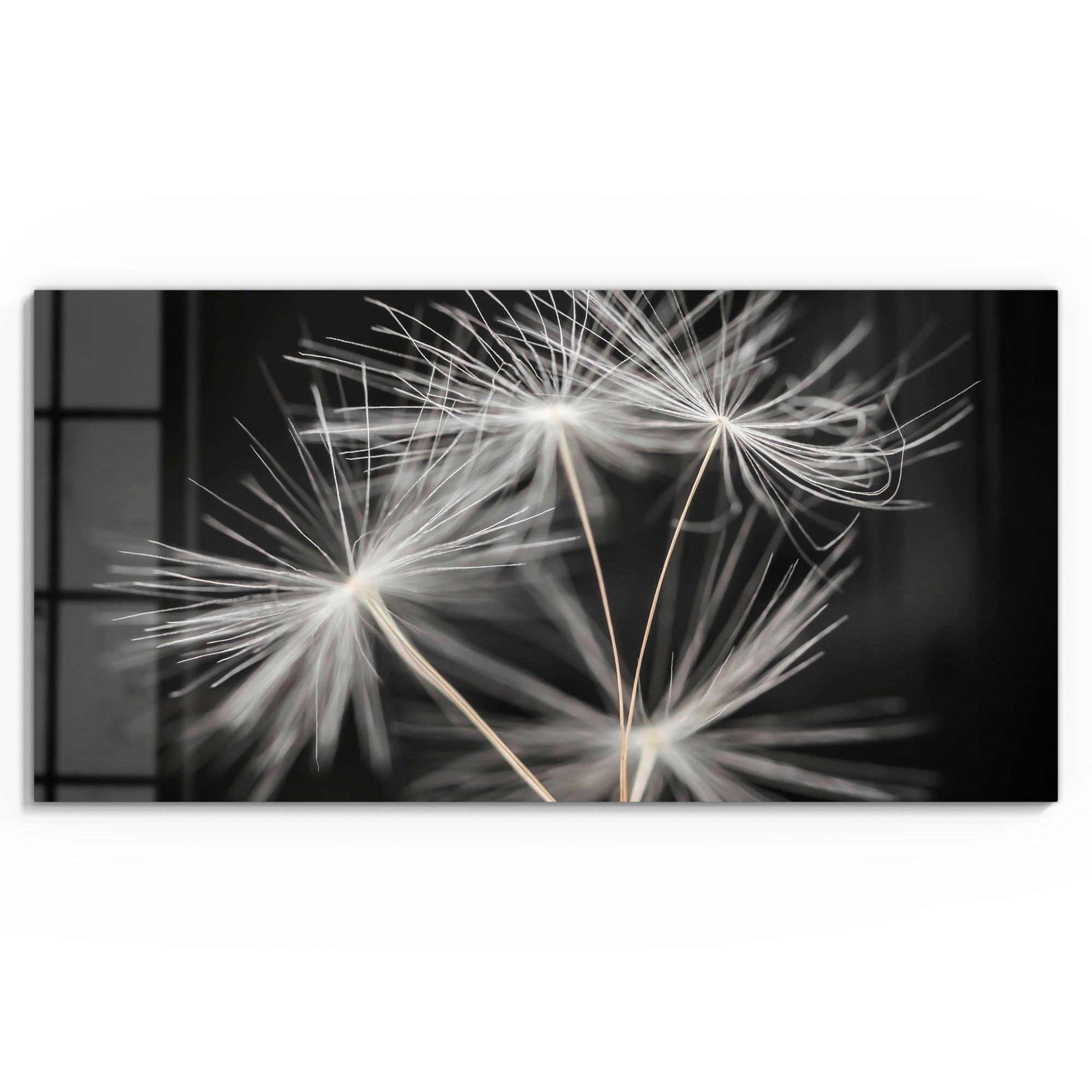 DEQORI Glasbild 'Samen der Pusteblume', 'Samen günstig online kaufen