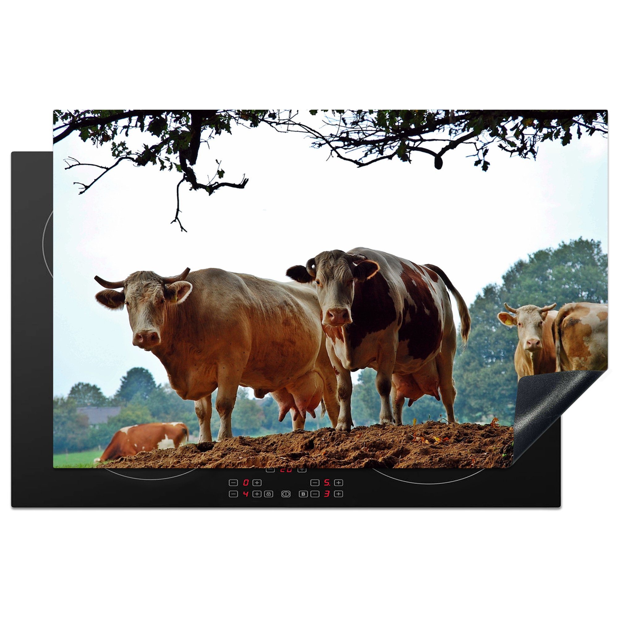 MuchoWow Herdblende-/Abdeckplatte Kühe - Bauernhof - Friesland, Vinyl, (1 tlg), 81x52 cm, Induktionskochfeld Schutz für die küche, Ceranfeldabdeckung