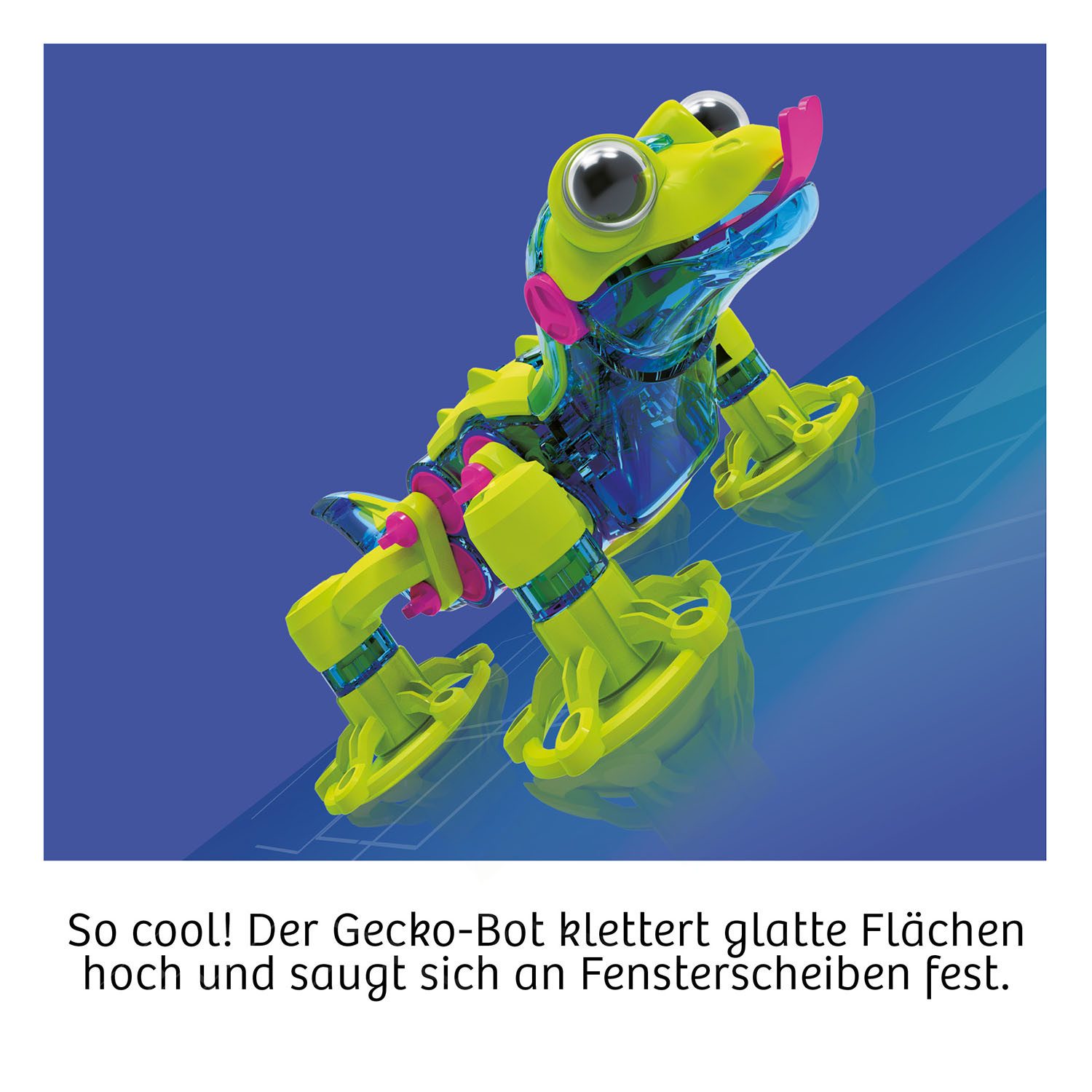 Kosmos Modellbausatz Gecko Bot, Made in Germany