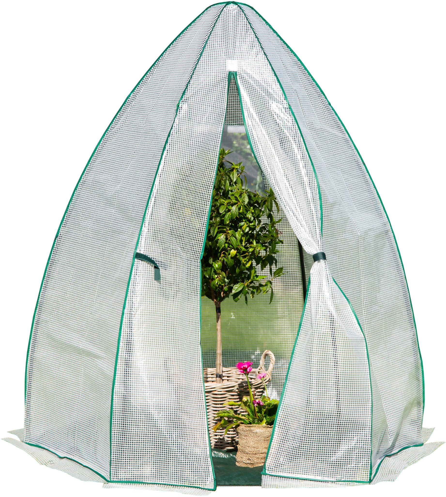 50NRTH Foliengewächshaus Olive, BxTxH: 160 x 160 x 183 cm, Überwinterungsze günstig online kaufen