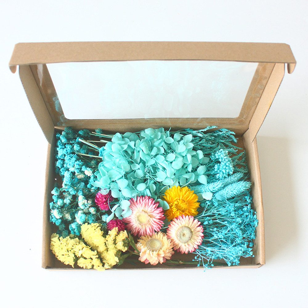 Trockenblume Klein Trockenblumen Deko Trockenblumen mit günstig online kaufen