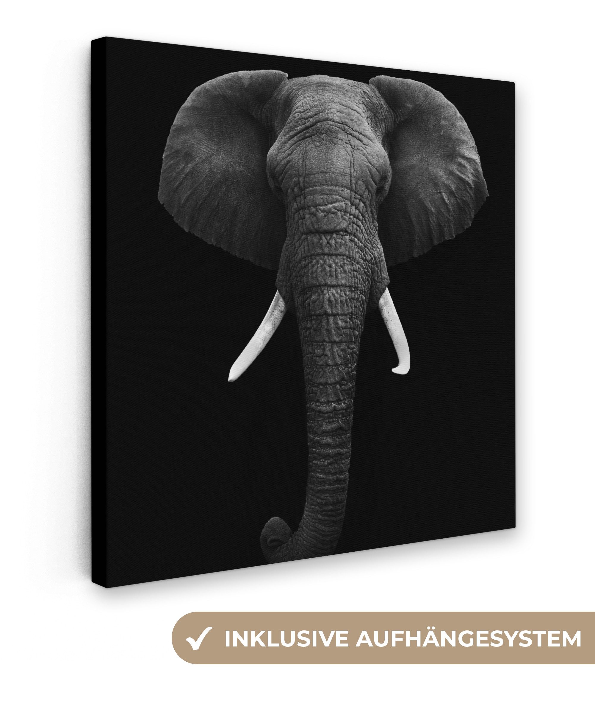 OneMillionCanvasses® Leinwandbild Elefant - Wildtiere - Schwarz - Weiß - Porträt, Fotodruck (1 St), Wandbild, Deko Schlafzimmer Wohnzimmer Flur 20x20 cm