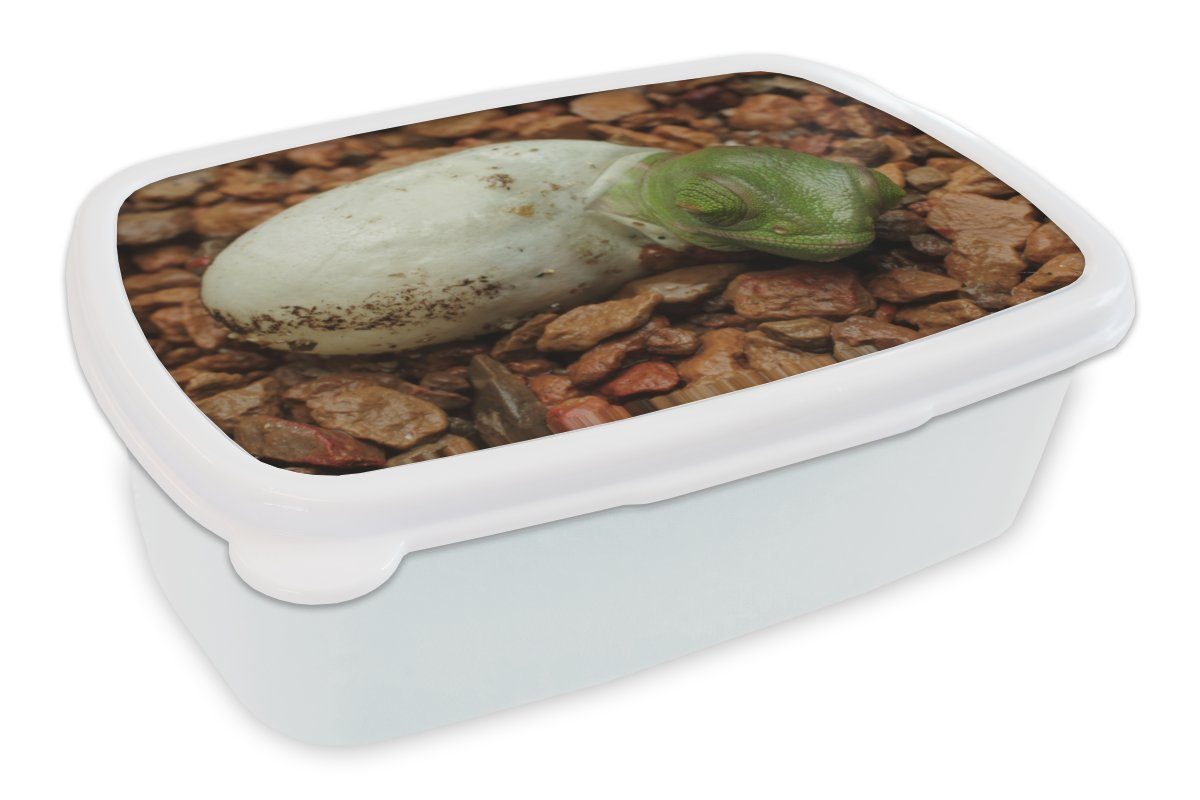 MuchoWow Lunchbox Tier für - Kunststoff, - und und Jungs weiß Brotdose, Erwachsene, Kinder Chamäleon für (2-tlg), Brotbox Mädchen Ei