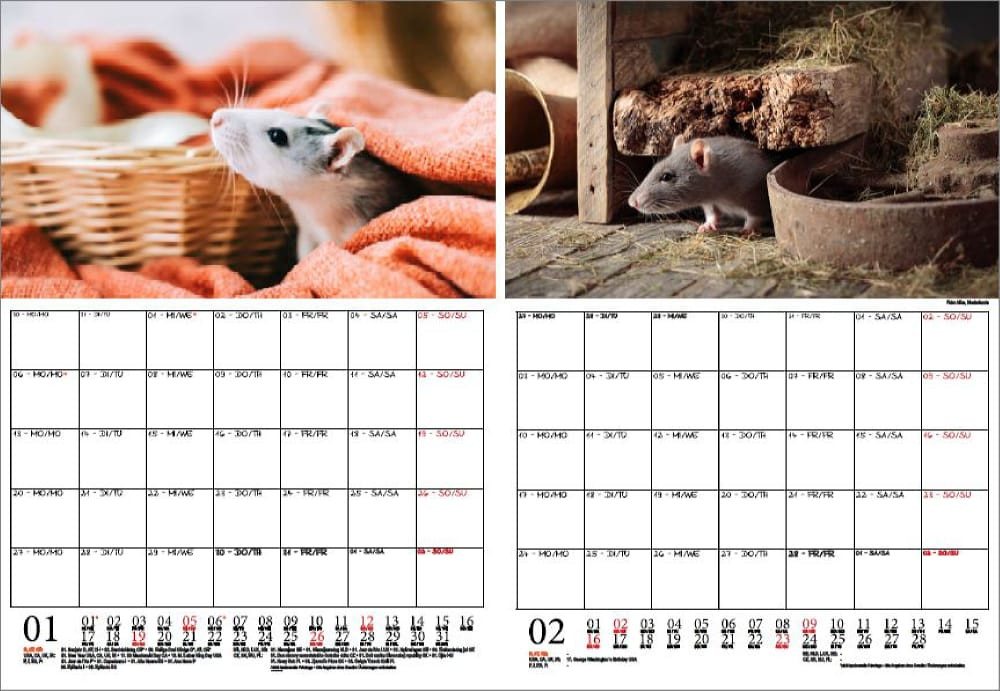 Thumbnail - Seelenzauber Wandkalender Rattenzauber Wand- Planer Kalender für 2025 DIN A4 Ratten