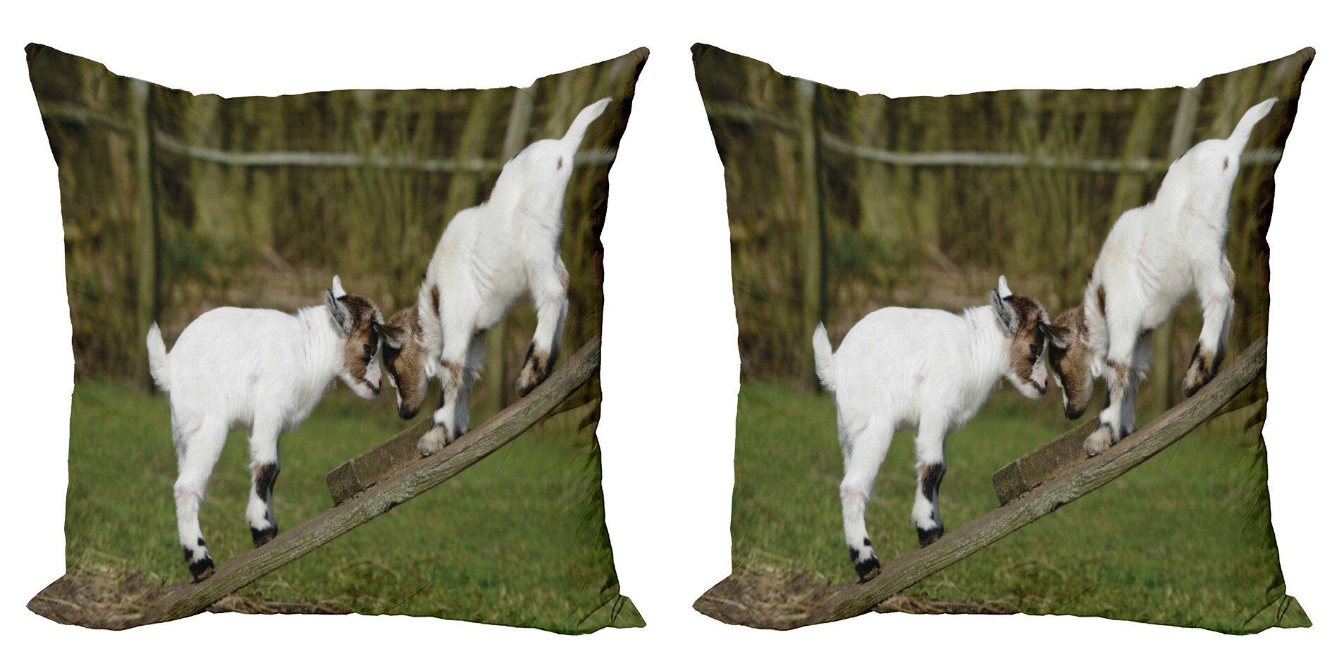 Kissenbezüge Modern Accent Doppelseitiger Digitaldruck, Abakuhaus (2 Stück), Tier Leben auf dem Bauernhof mit Ziegen