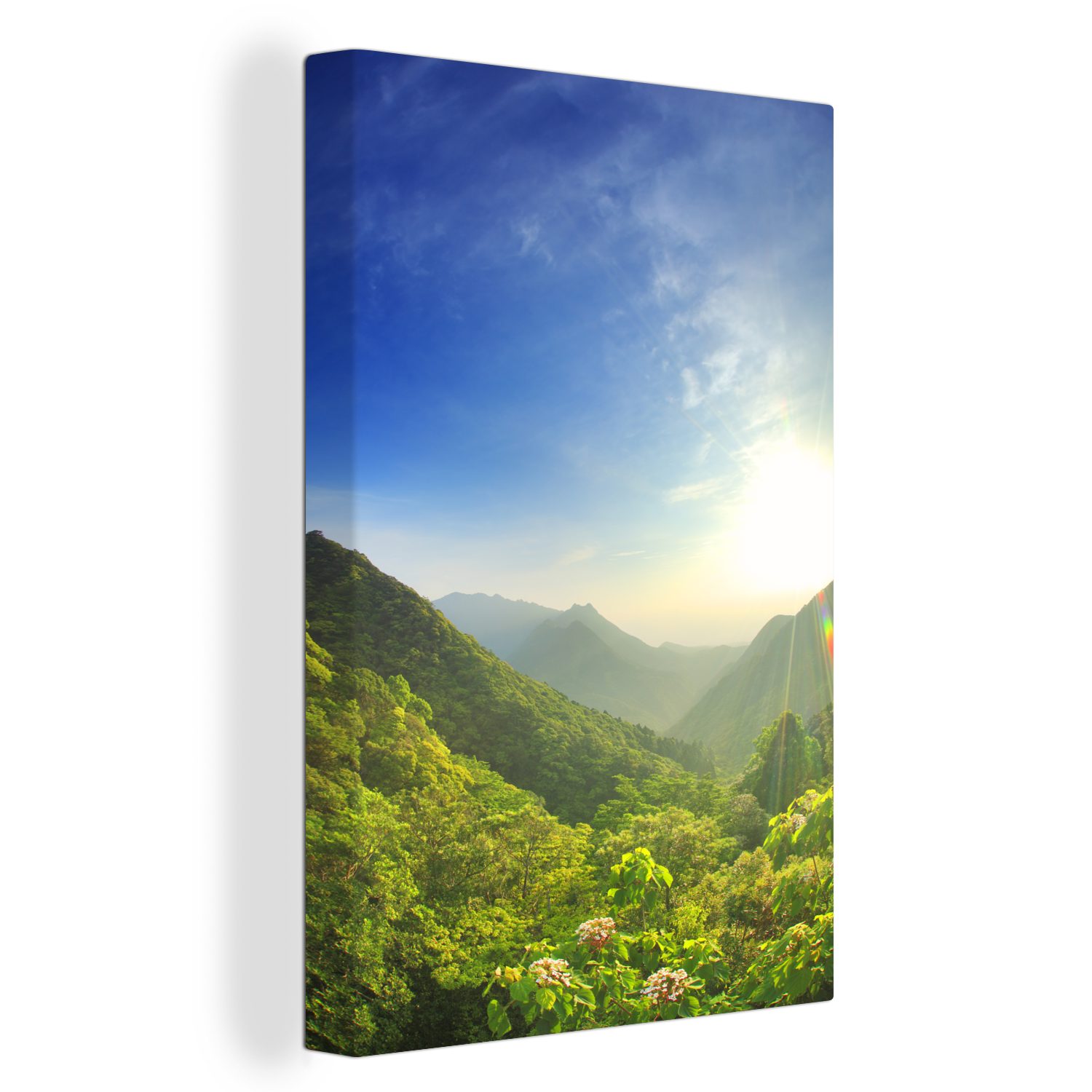 OneMillionCanvasses® Leinwandbild in Berghang auf 20x30 cm und Leinwandbild am inkl. Wälder Yakushima Gemälde, Zackenaufhänger, Blumen fertig (1 Asien, St), bespannt