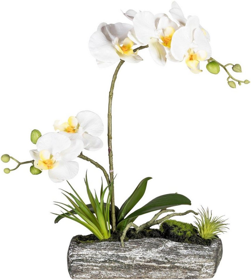 Kunstpflanze Phalaenopsis Orchidee, Creativ green, Höhe 40 cm