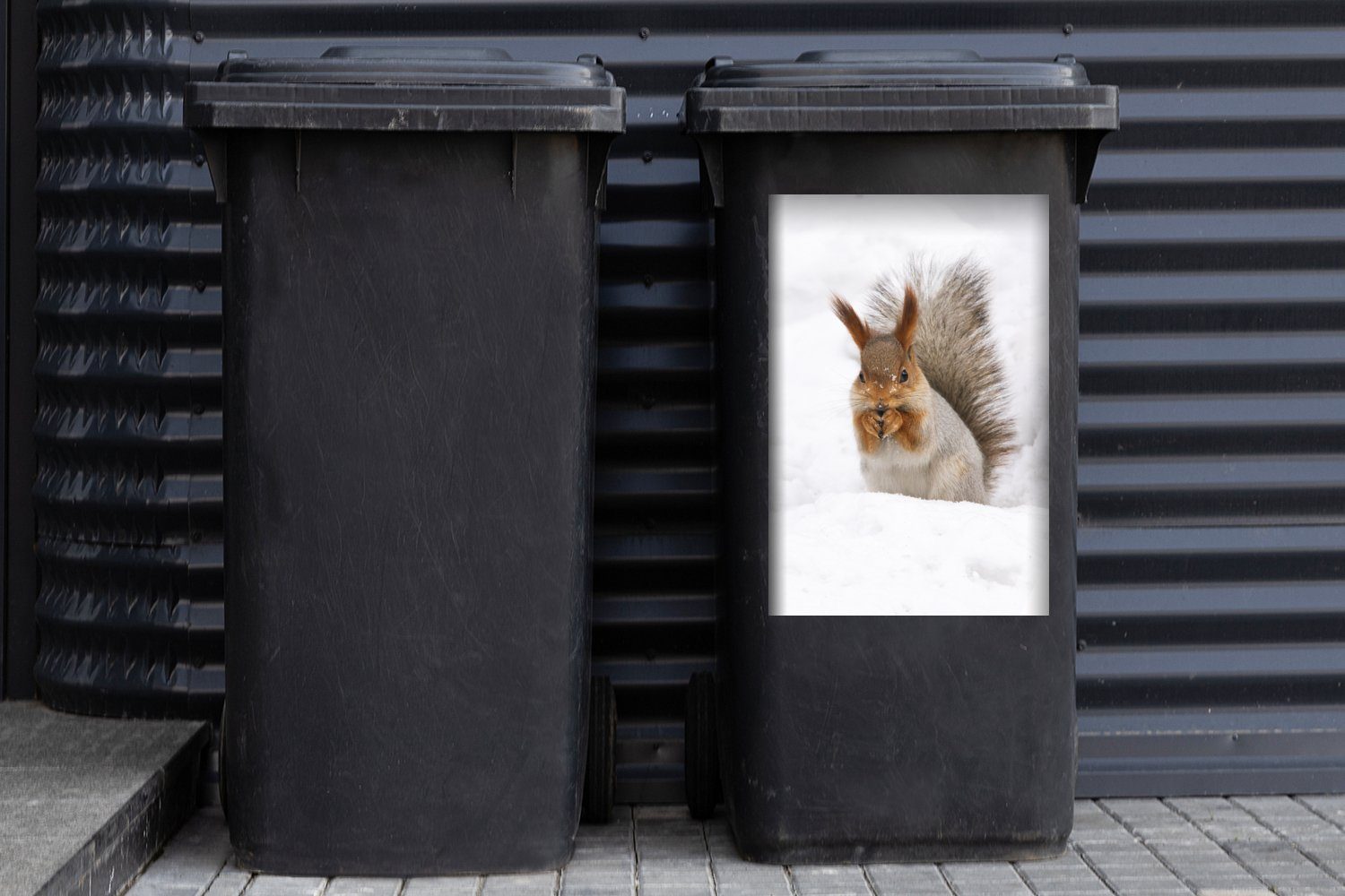 Mülltonne, St), Abfalbehälter MuchoWow Schnee - Sticker, Tier Container, Wandsticker Eichhörnchen Mülleimer-aufkleber, (1 -