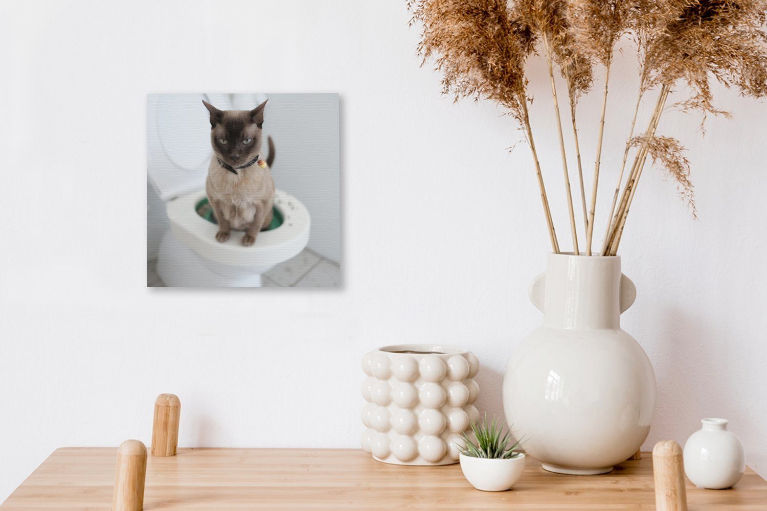 für Schlafzimmer (1 Toilette, Bilder Leinwand Katze St), auf Wohnzimmer sitzt Leinwandbild OneMillionCanvasses® der birmanische Eine