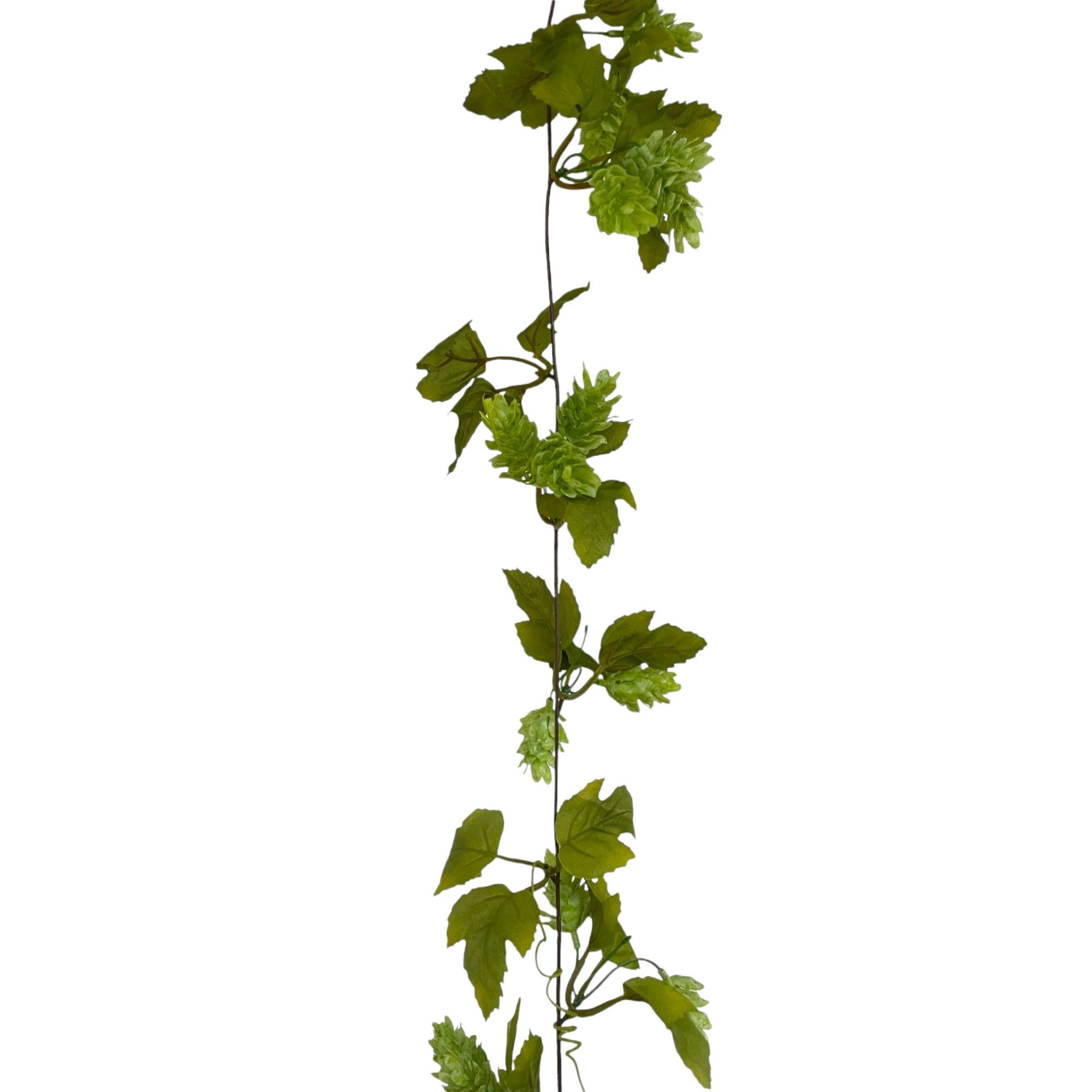 Kunstgirlande Künstliche HOPFENGIRLANDE ca. 180cm. Hopfen Trieb Ranke. Grün, naninoa GmbH, Höhe 180.00 cm – Bild 2 von 3