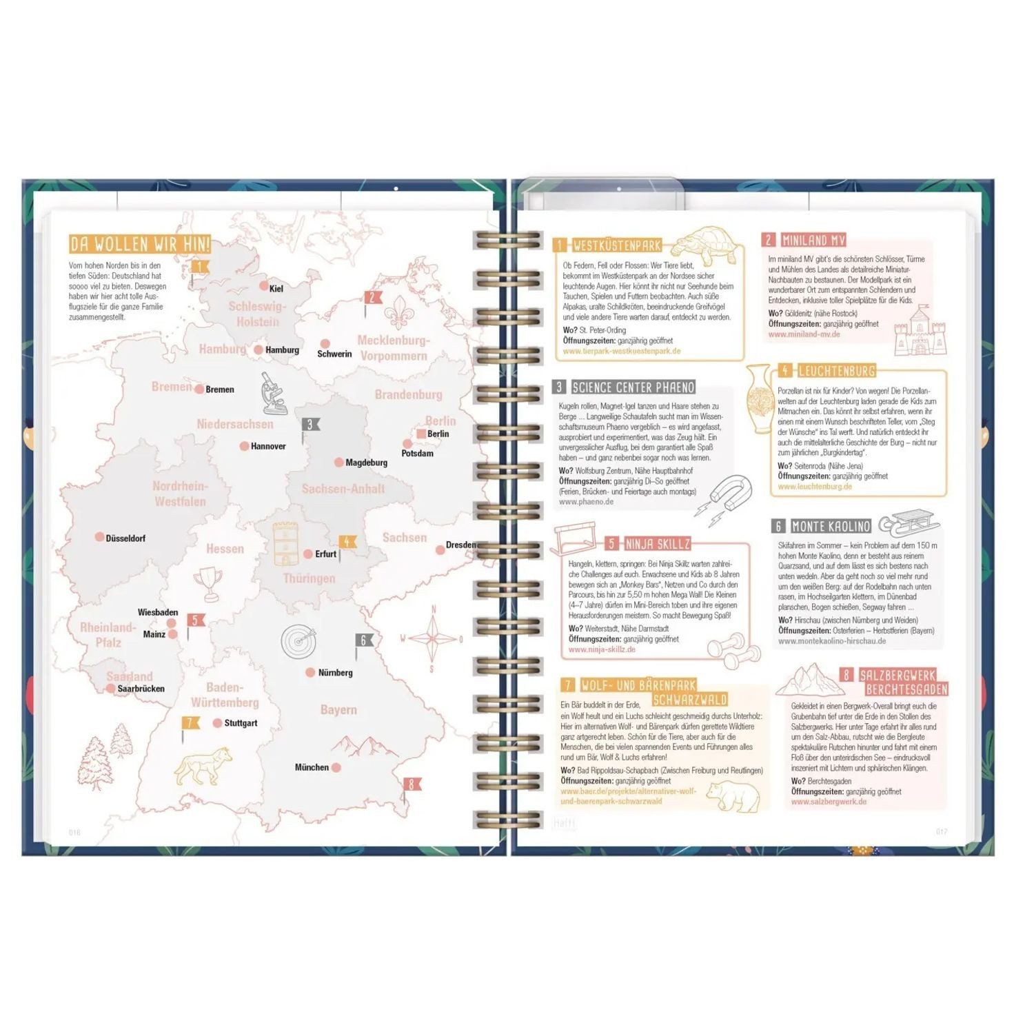 Häfft Familienkalender Family-Timer 26/27 17 Monate [Mondscheinblüten] EM
