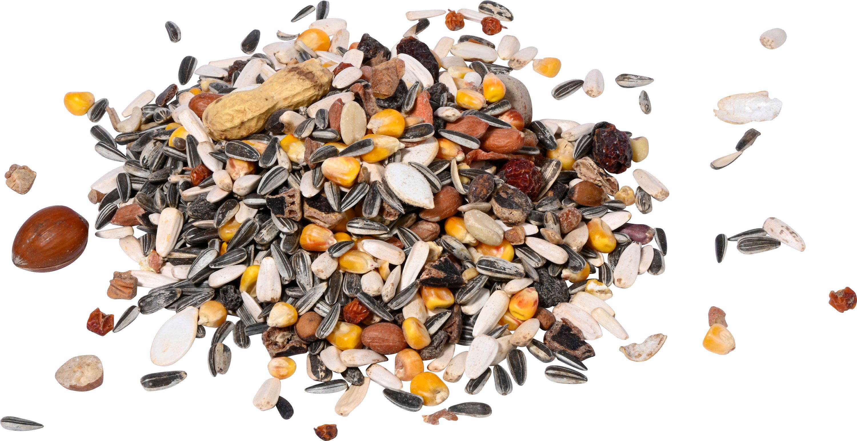 dobar Futterspender Eichhoernchenfutter 6 Beutel a 1kg