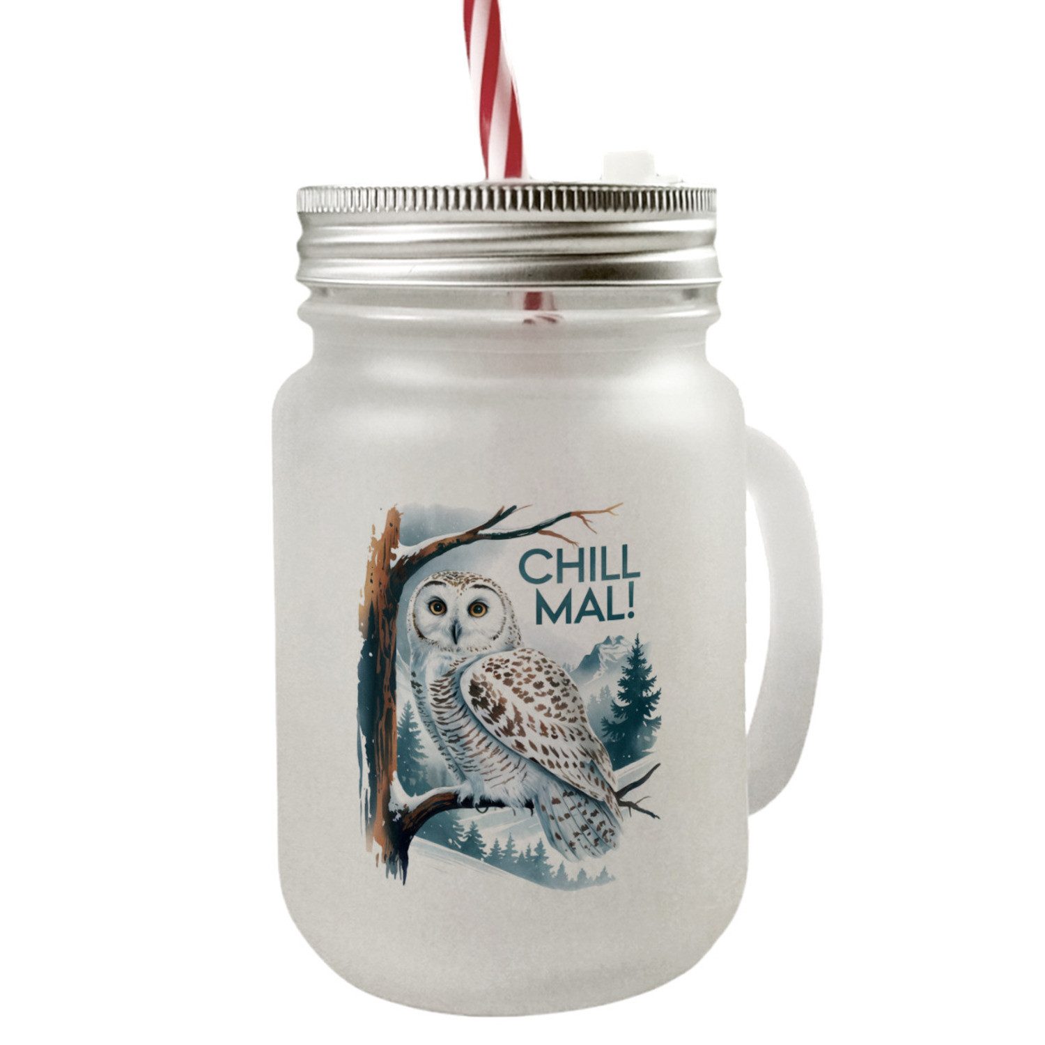 speecheese Glas Chill mal Mason Jar Henkel Trinkglas mit Deckel Schneeeule auf Ast