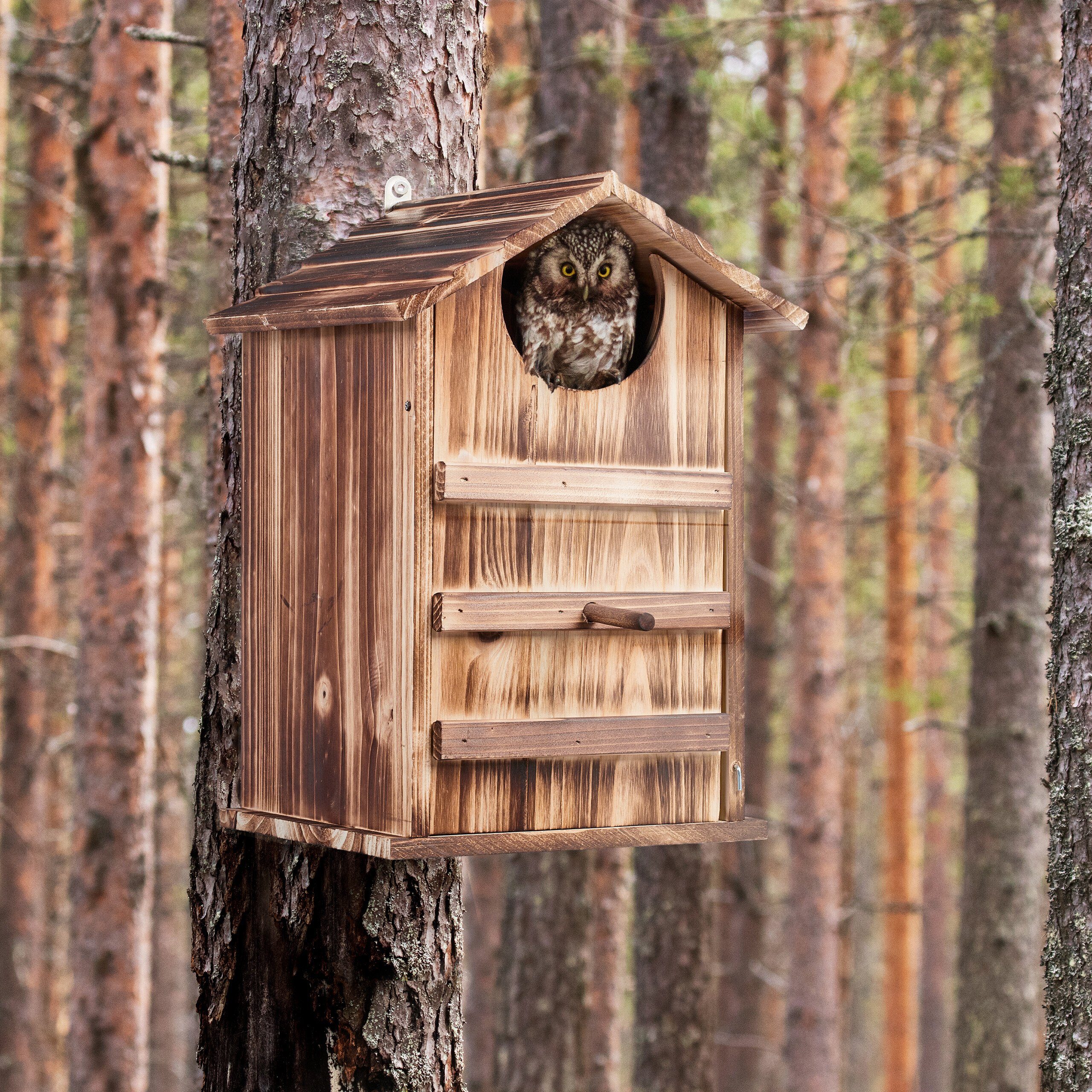relaxdays Vogelhaus Eulen Nistkasten Holz günstig online kaufen