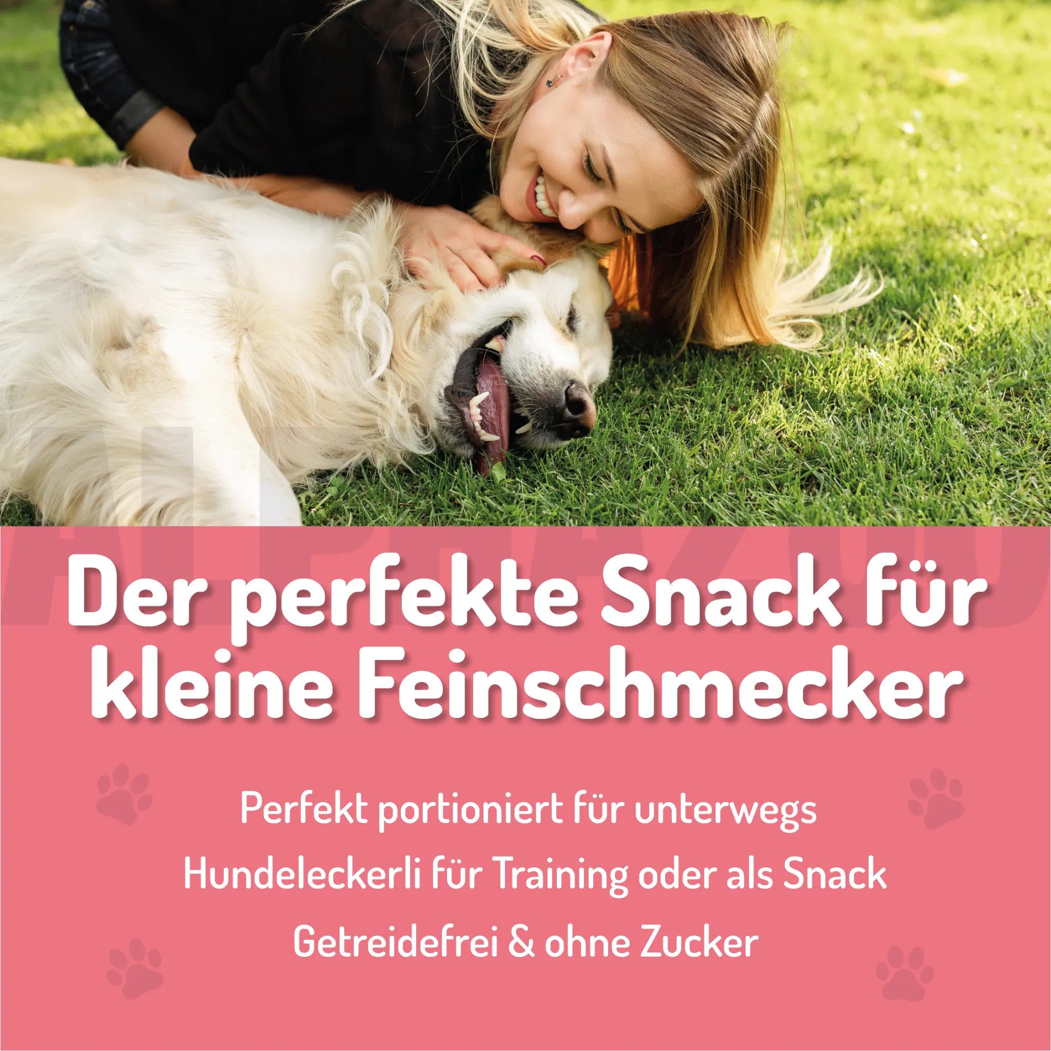 ALPHAZOO Probierset Leckerli Hund I Bundle Rind, Snack für: Hunde