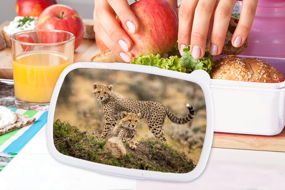 MuchoWow Lunchbox Leopard Brotbox Brotdose, Mädchen Jungtier für - und - Kinder für weiß (2-tlg), Kunststoff, Natur, Erwachsene, und Jungs