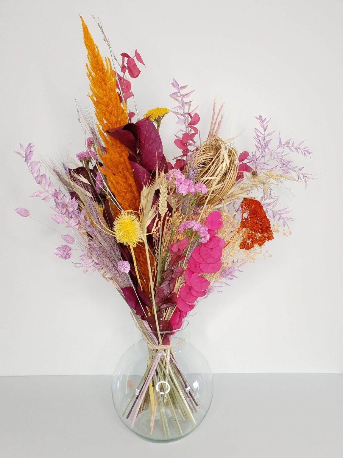 Trockenblume »Autumn Queen«, Everflowers, Höhe 75 cm-Otto