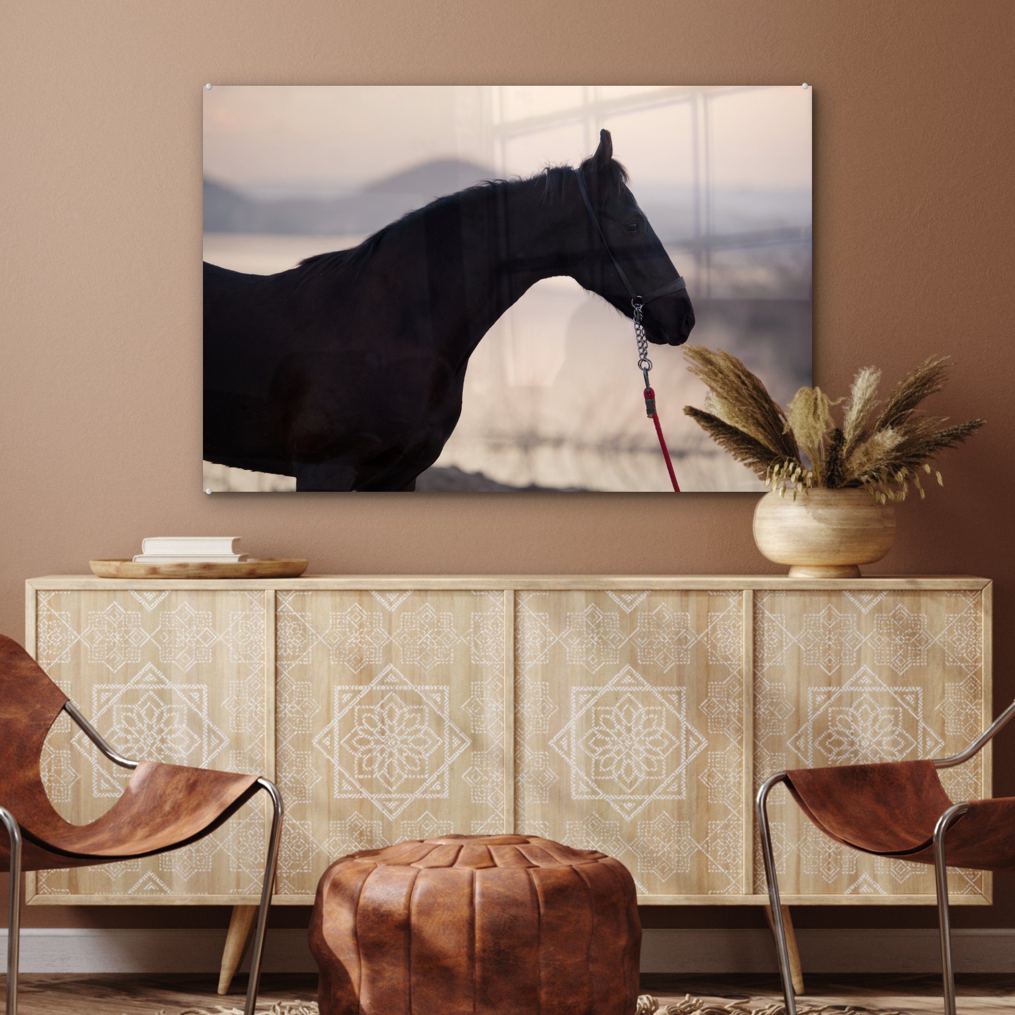 (1 Wohnzimmer Acrylglasbild Marwari, MuchoWow - & Pferd - Acrylglasbilder Schlafzimmer St), Sonnenaufgang