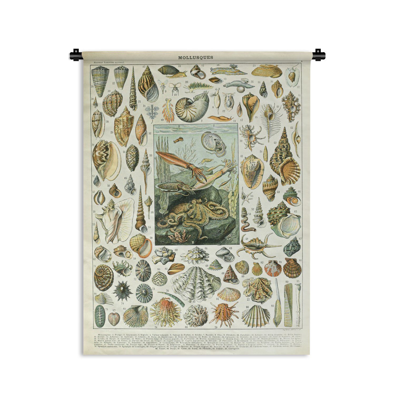 MuchoWow Wanddekoobjekt Meerestiere - Muschel - Vintage - Meer - Adolphe Millot, Deko für an der Wand, Wohnzimmer, Tapisserie, Schlafzimmer